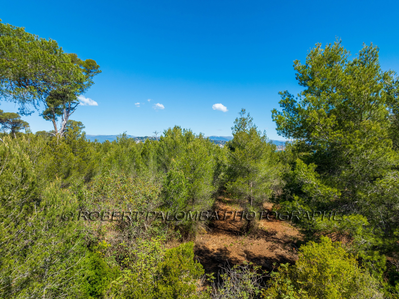 Lérins Sainte-Marguerite 2024