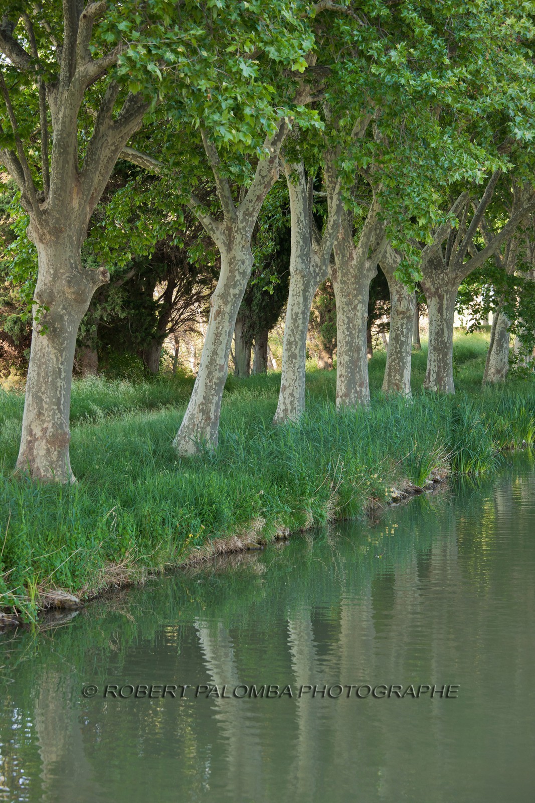 Canal du Midi