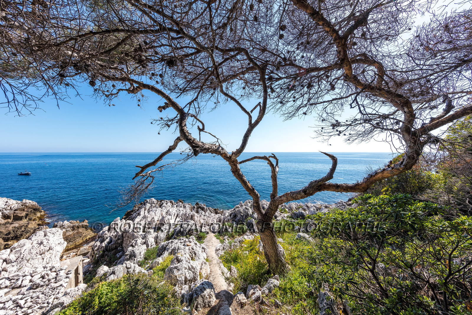 Roquebrune-Cap-Martin