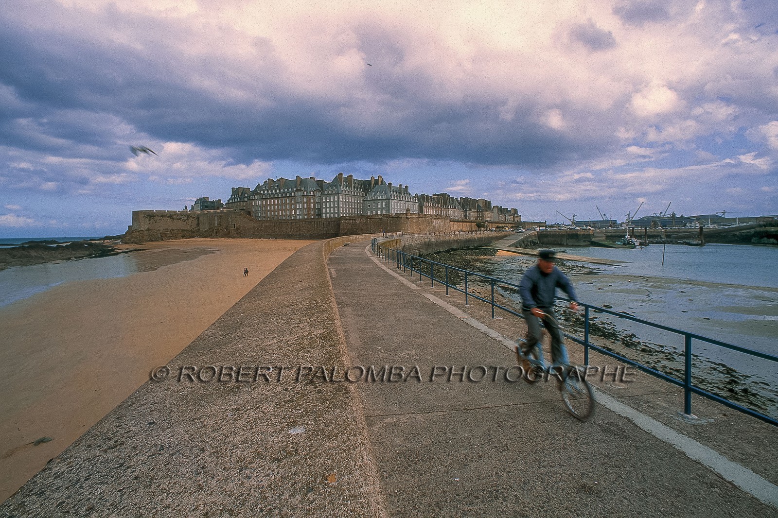 e mail robert.palomba@wanadoo.fr