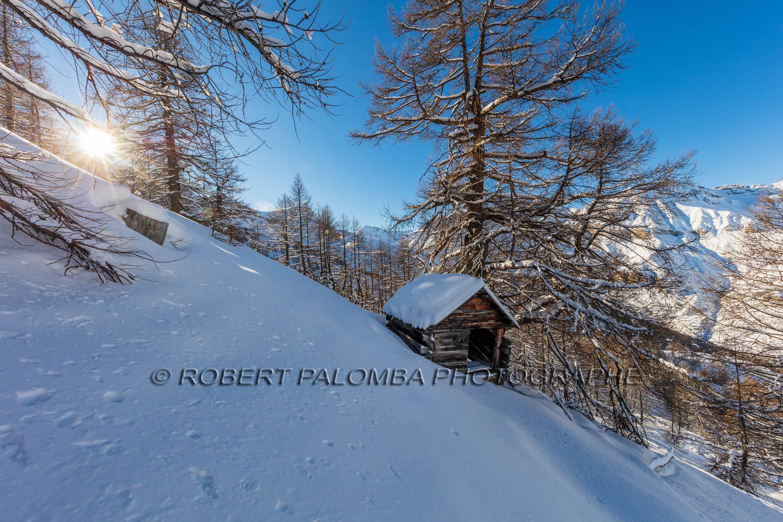 Auron