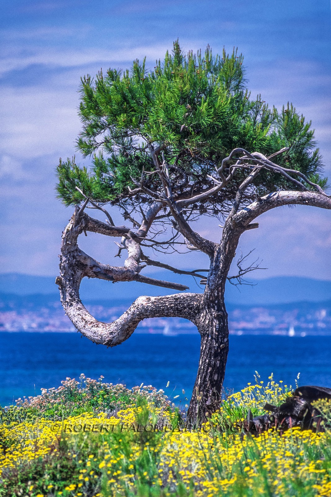 Porquerolles