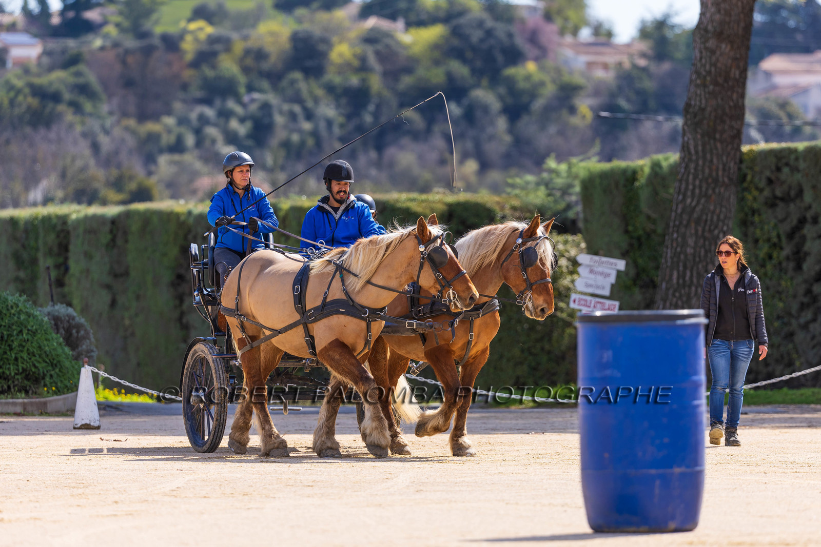 Haras national d'Uzès