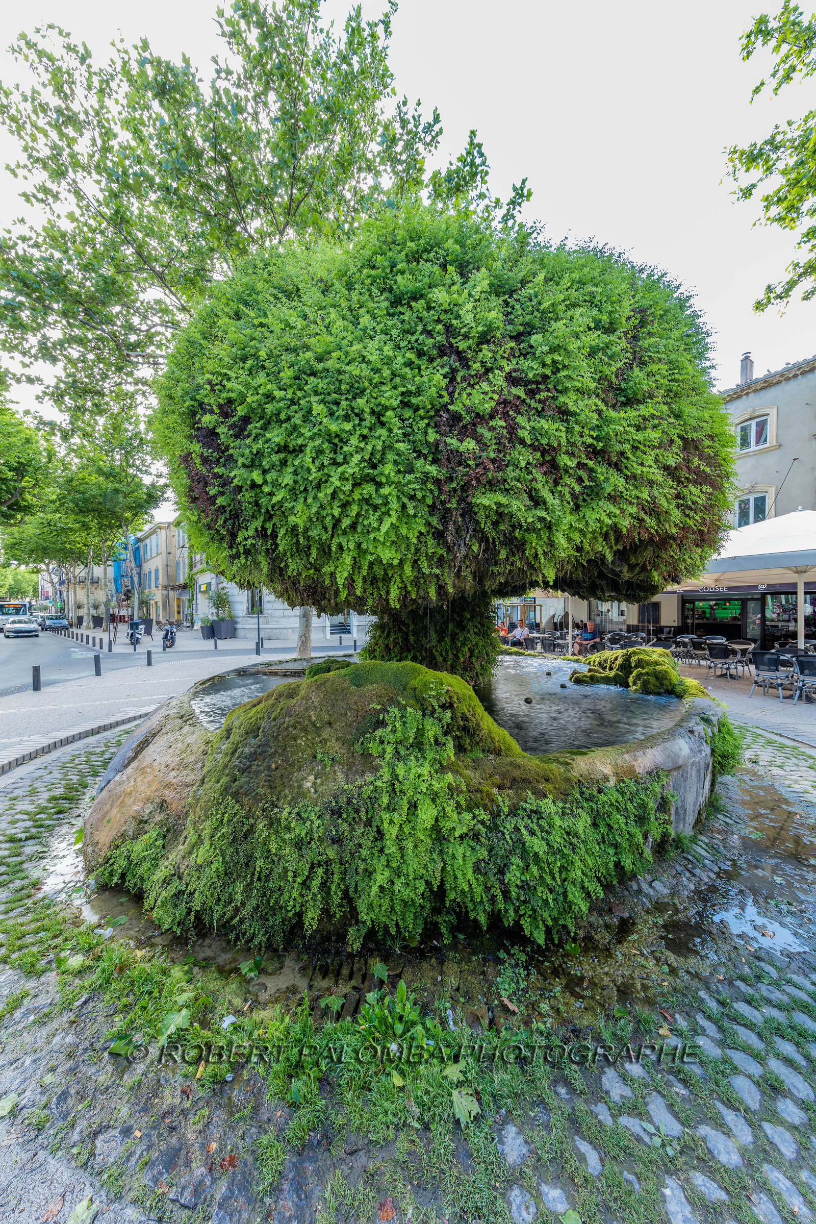 Salon-de-Provence