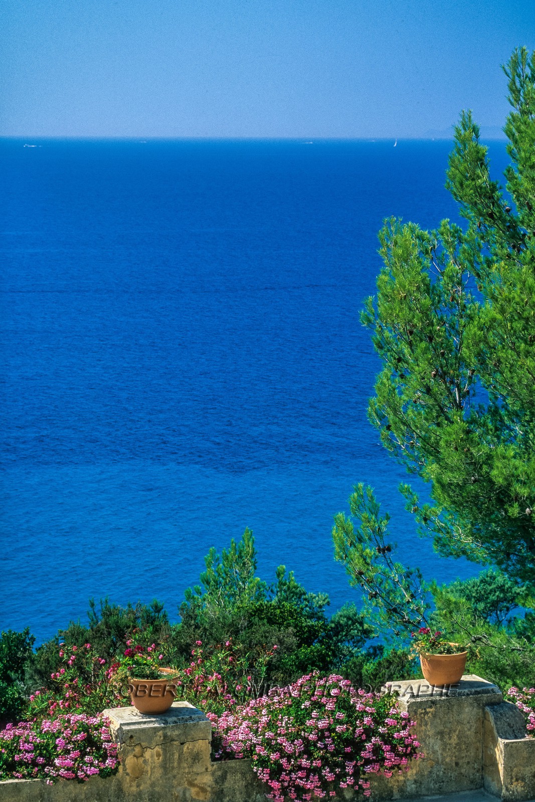 Rayol-Canadel-sur-Mer