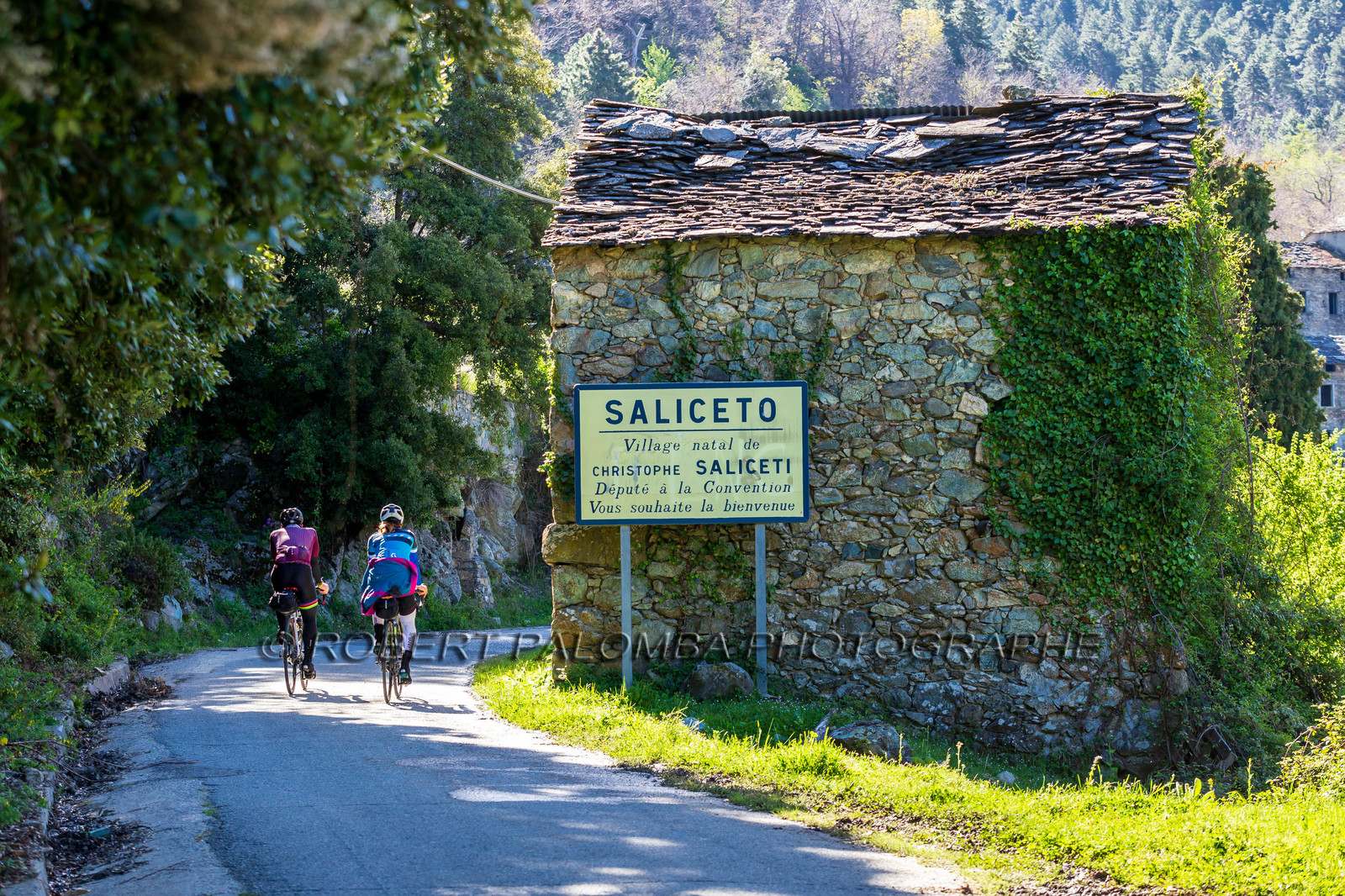 Saliceto
