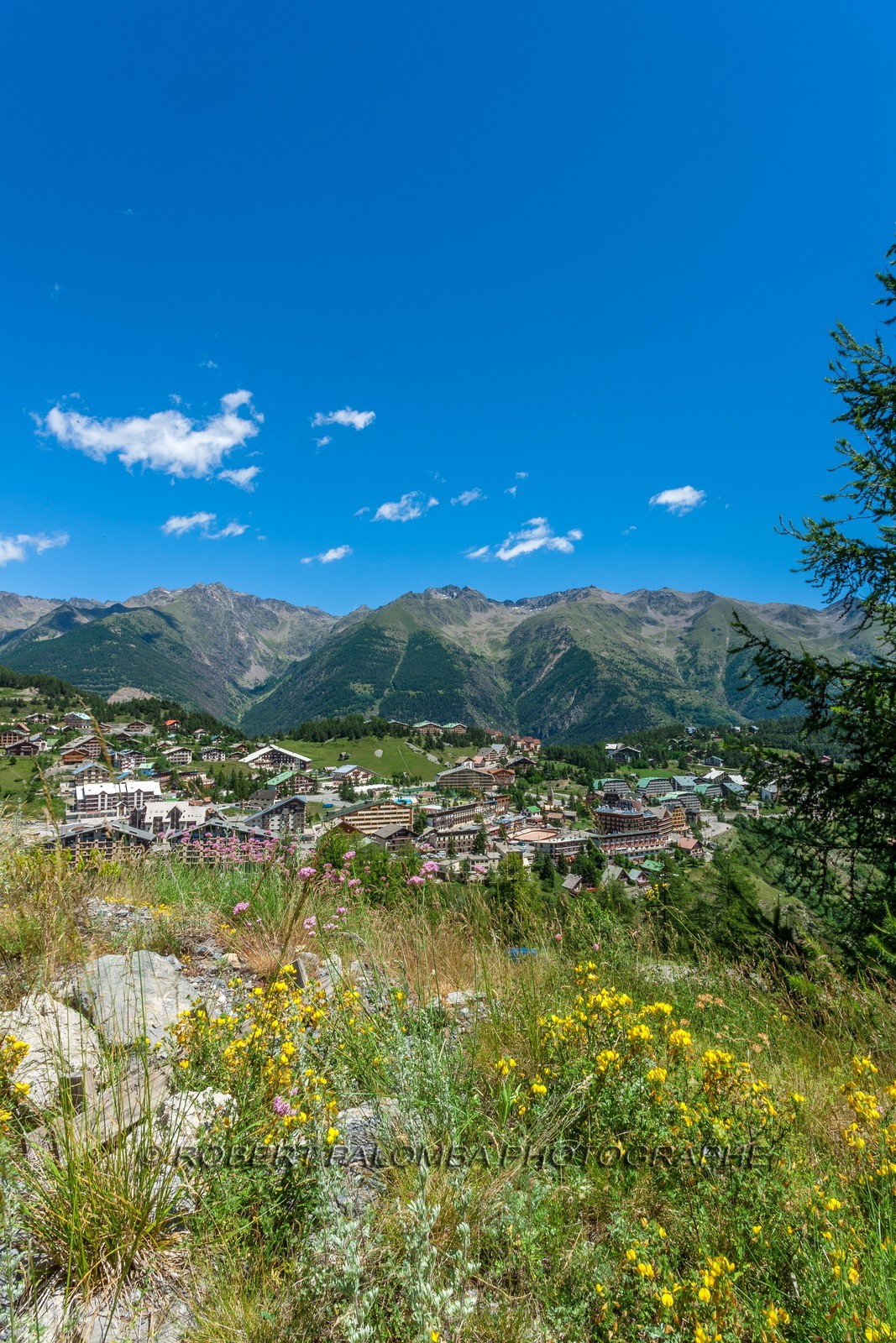 Auron
