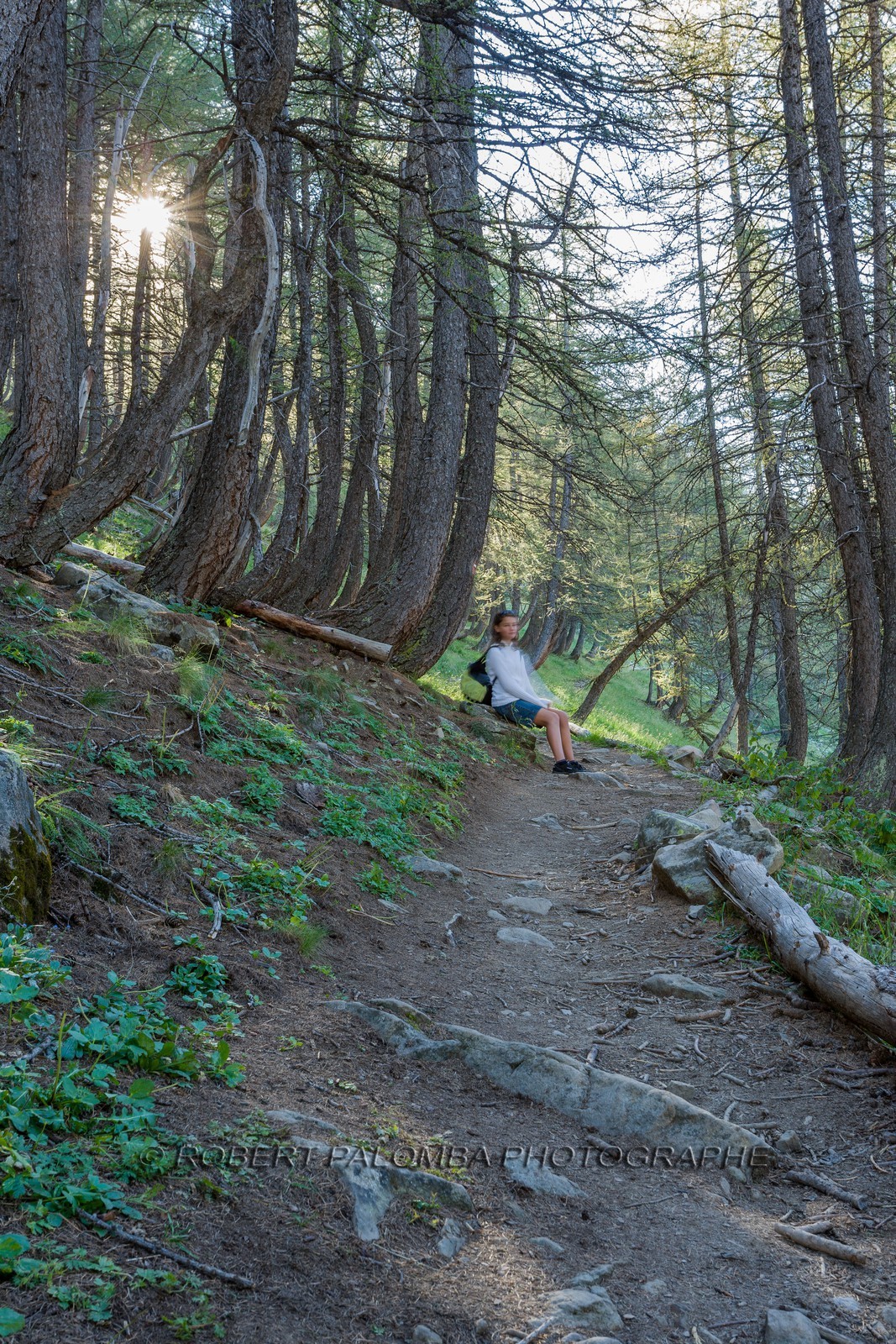 Col de la Petite Cayolle Col de la Petite Cayolle