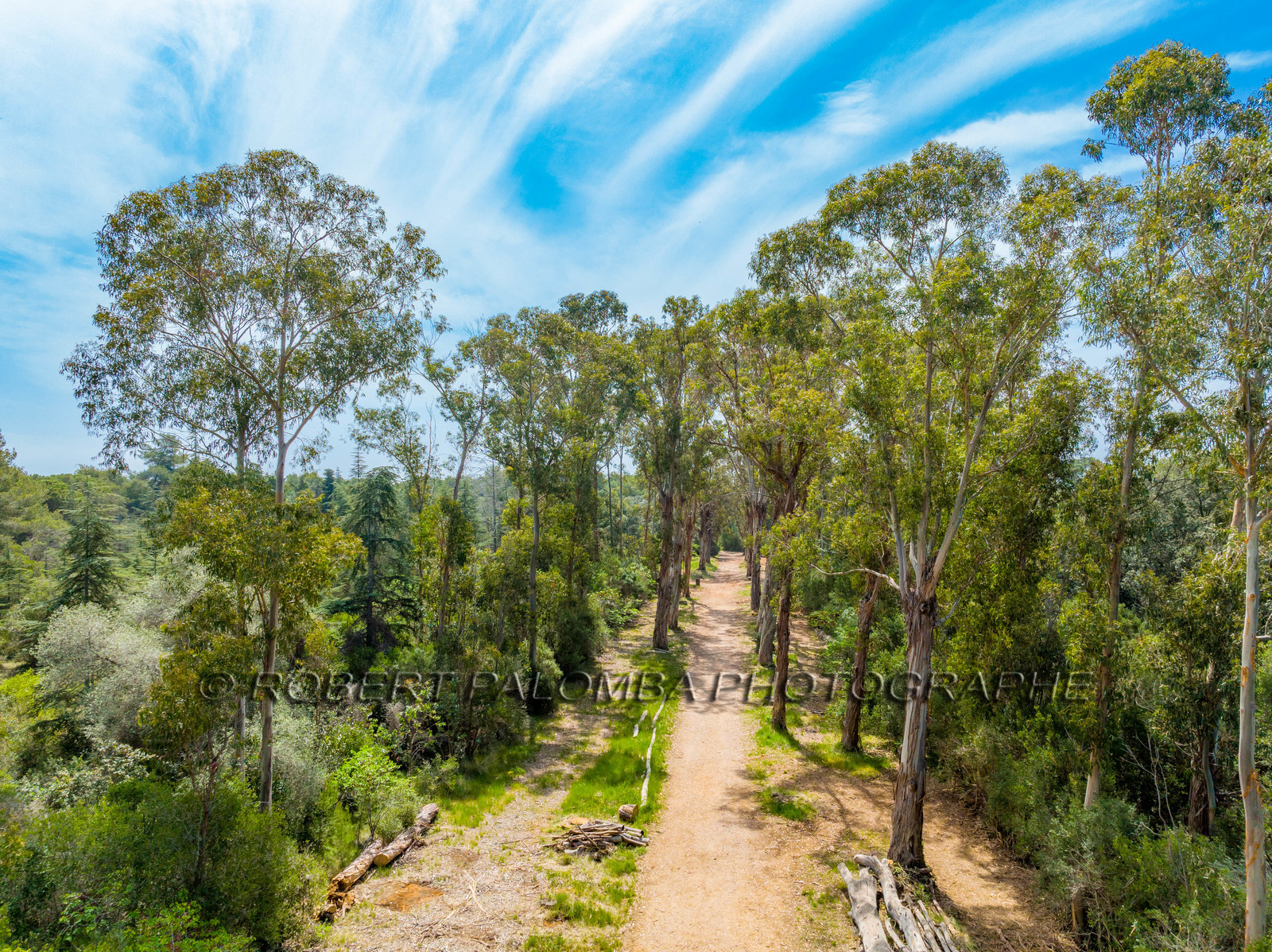 Lérins Sainte-Marguerite