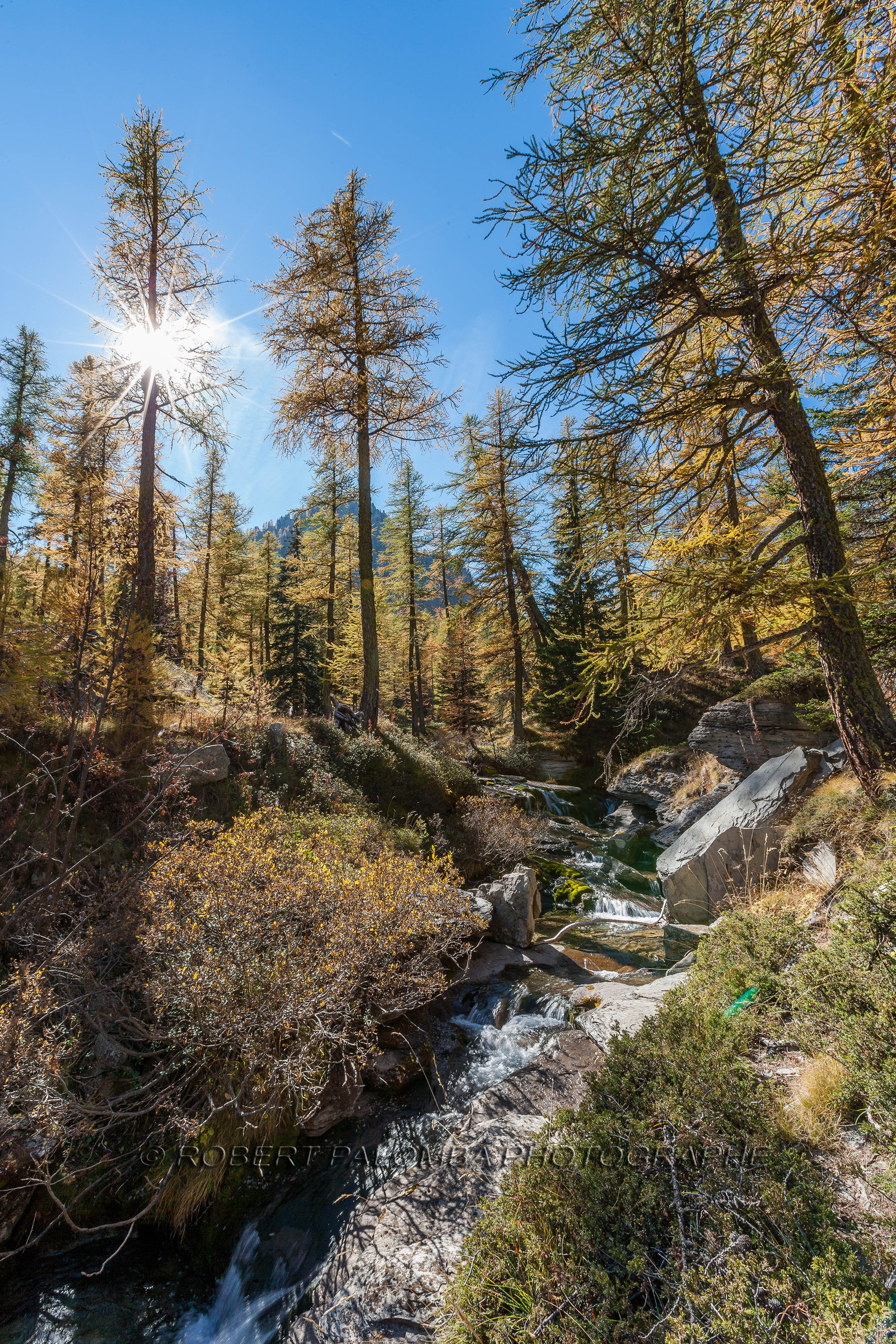 Col de la Moutière