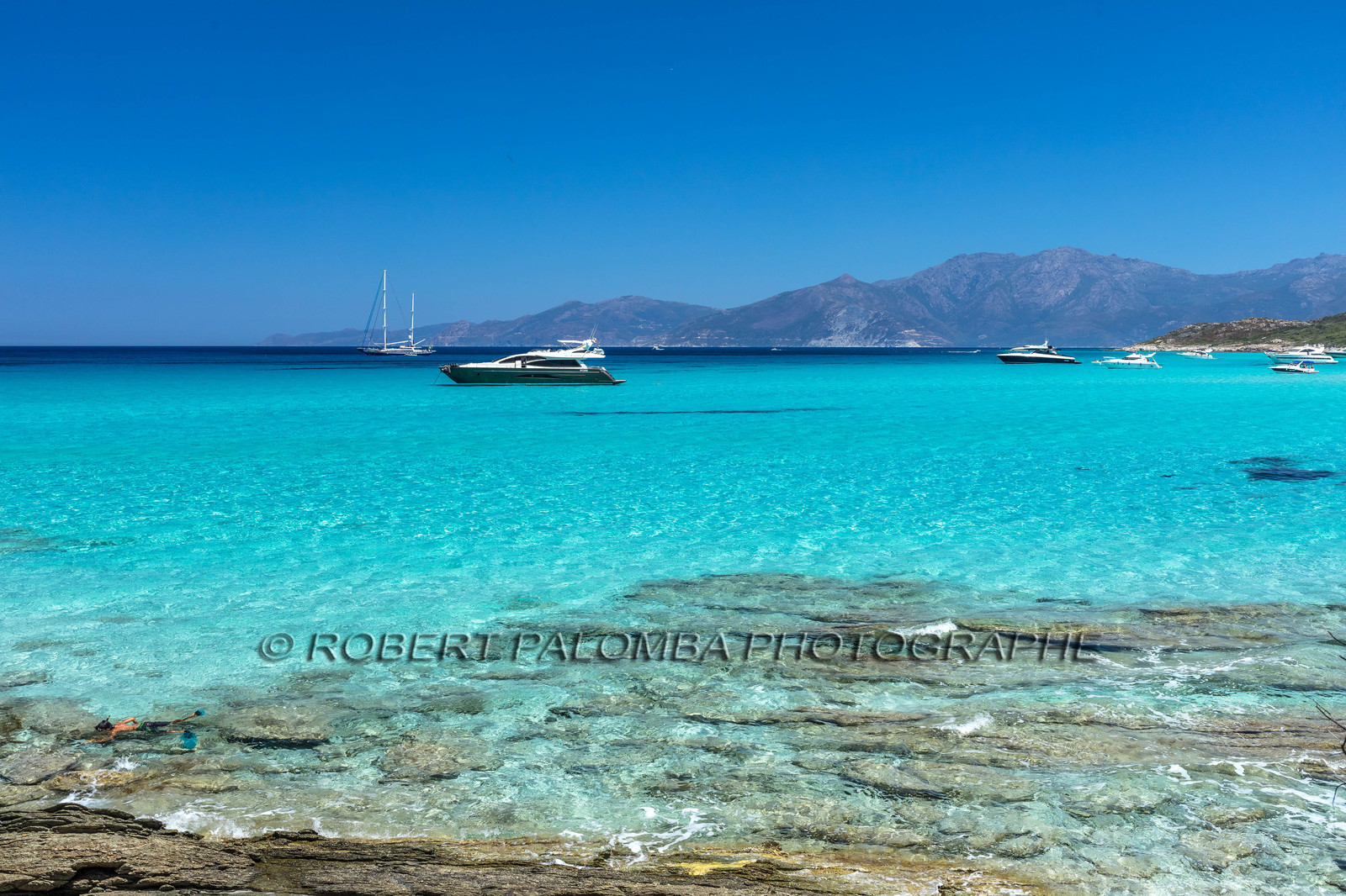 Saleccia