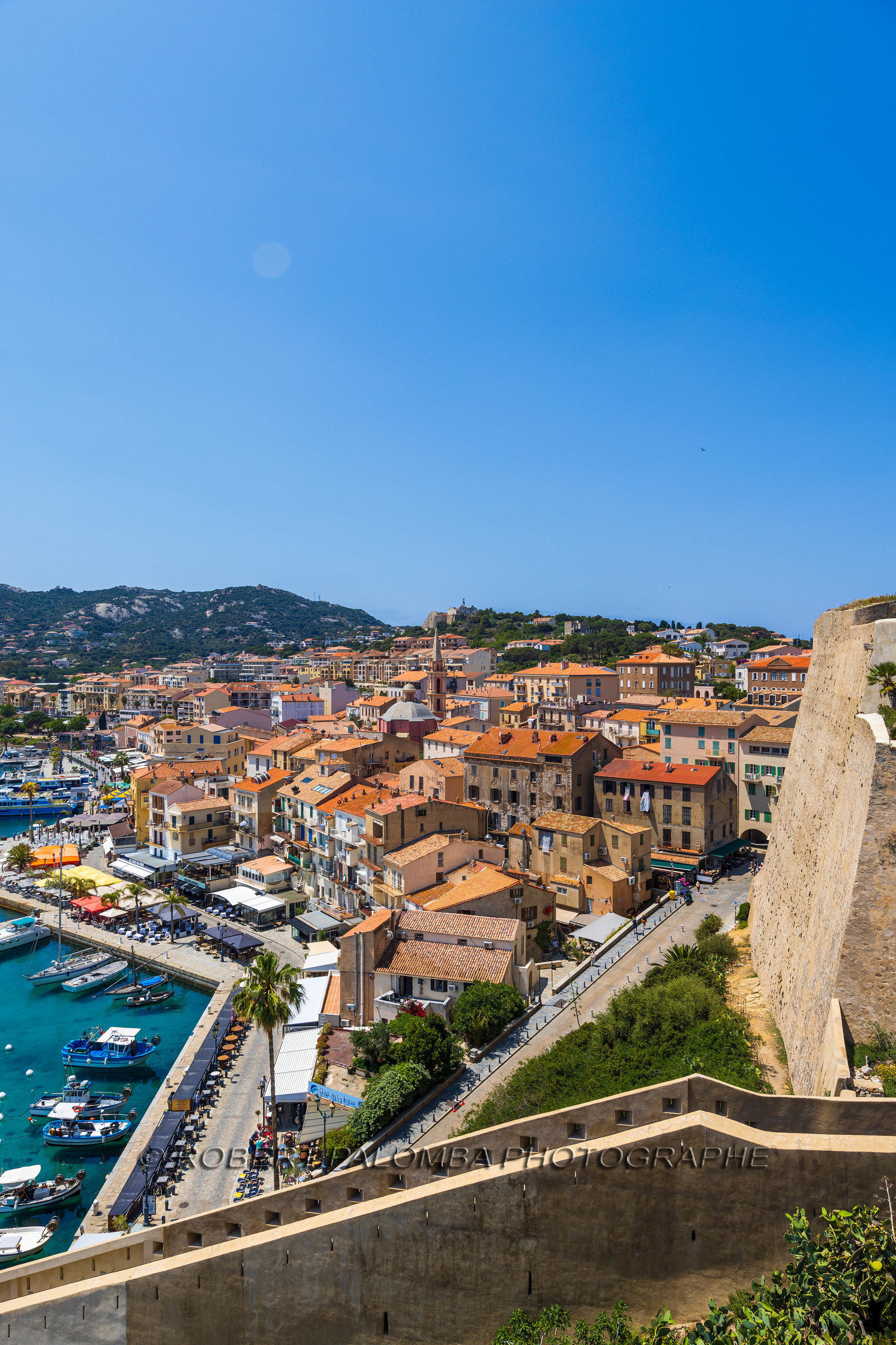 Calvi