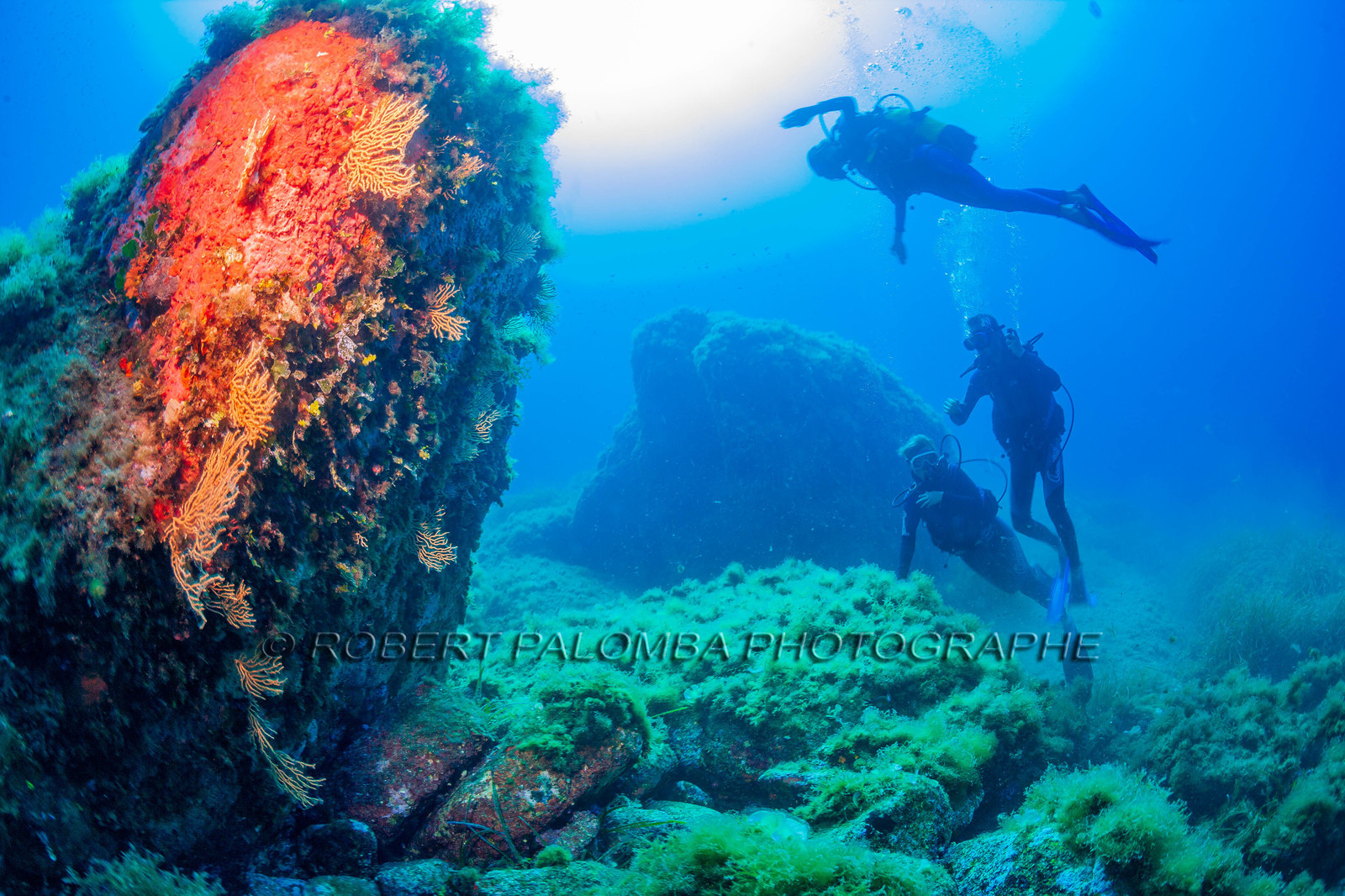 Plongée-sous-marine