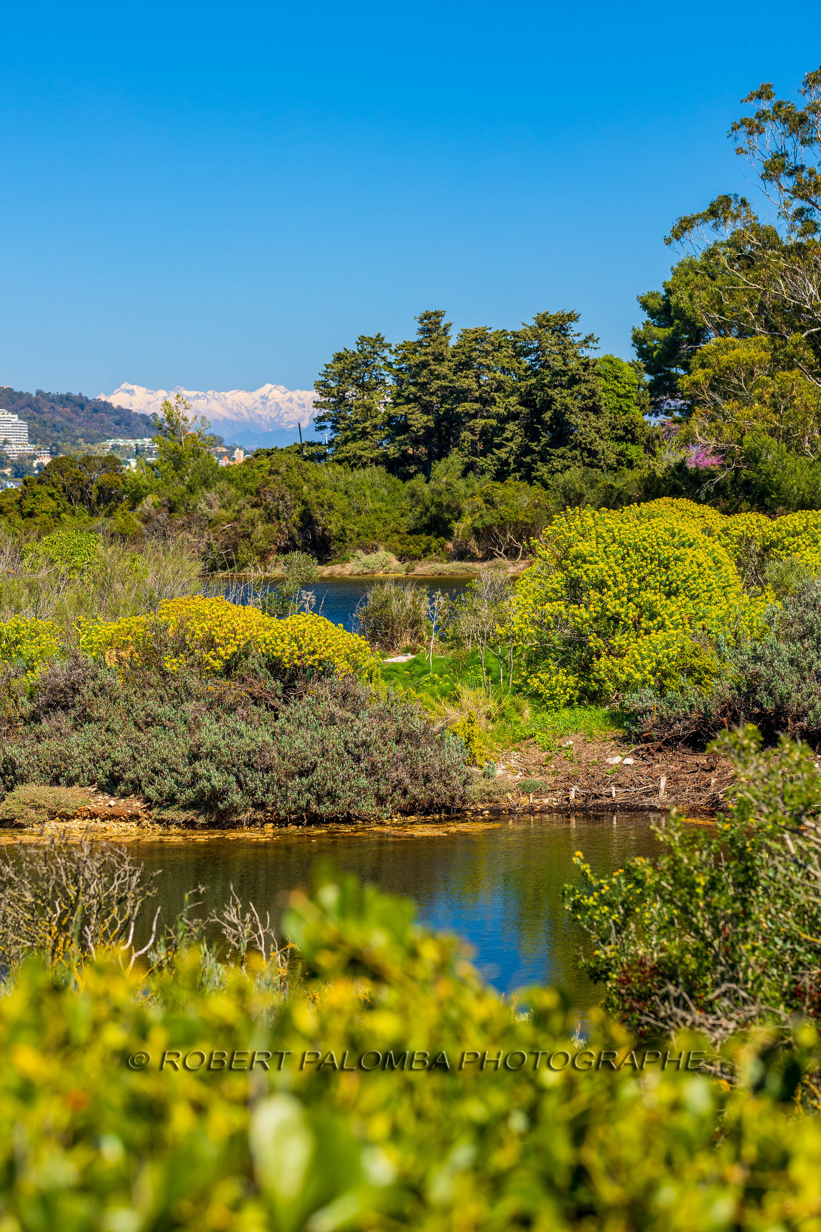 Lérins Sainte-Marguerite