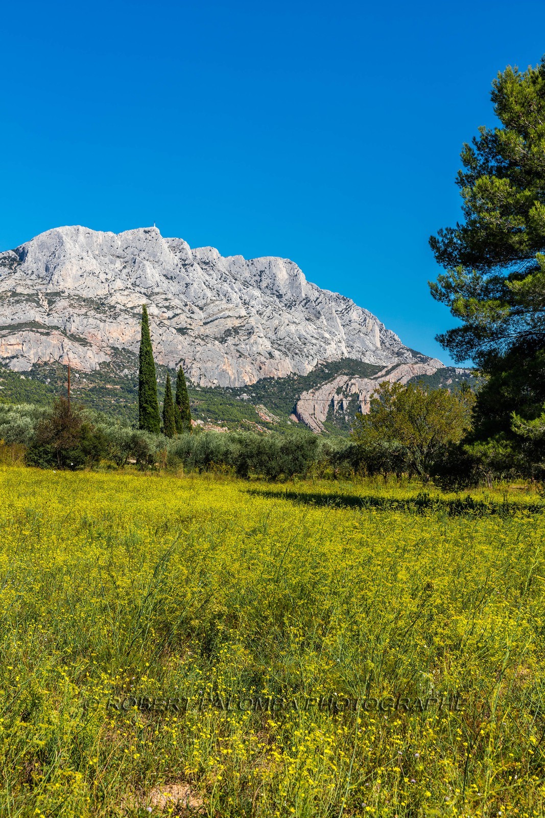Sainte-Victoire