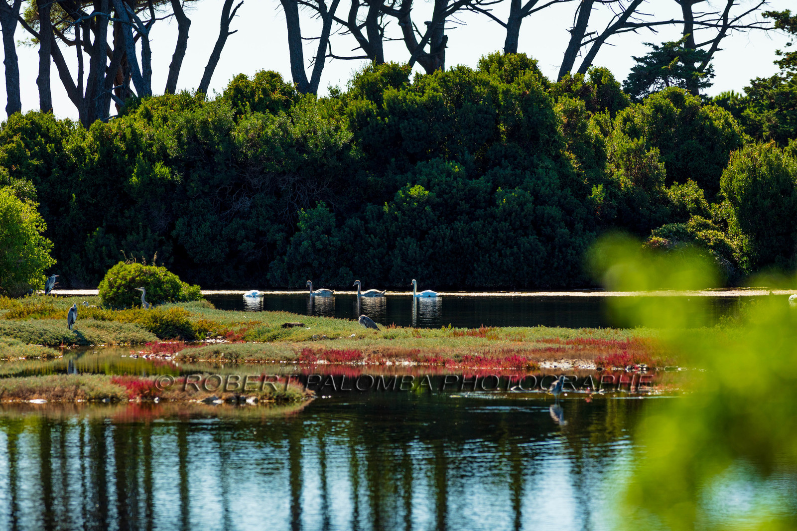 Lérins, Sainte-Marguerite