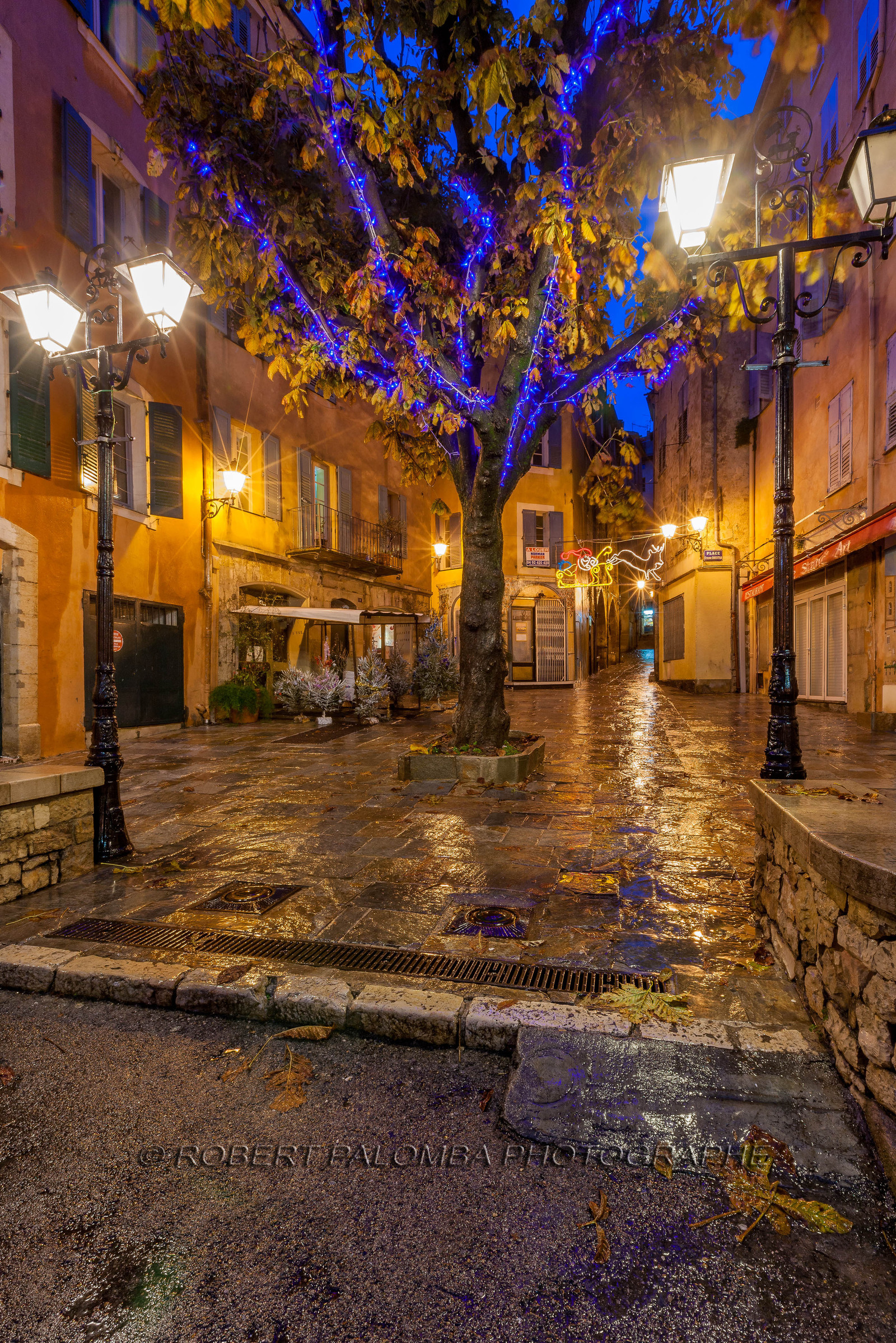 Grasse