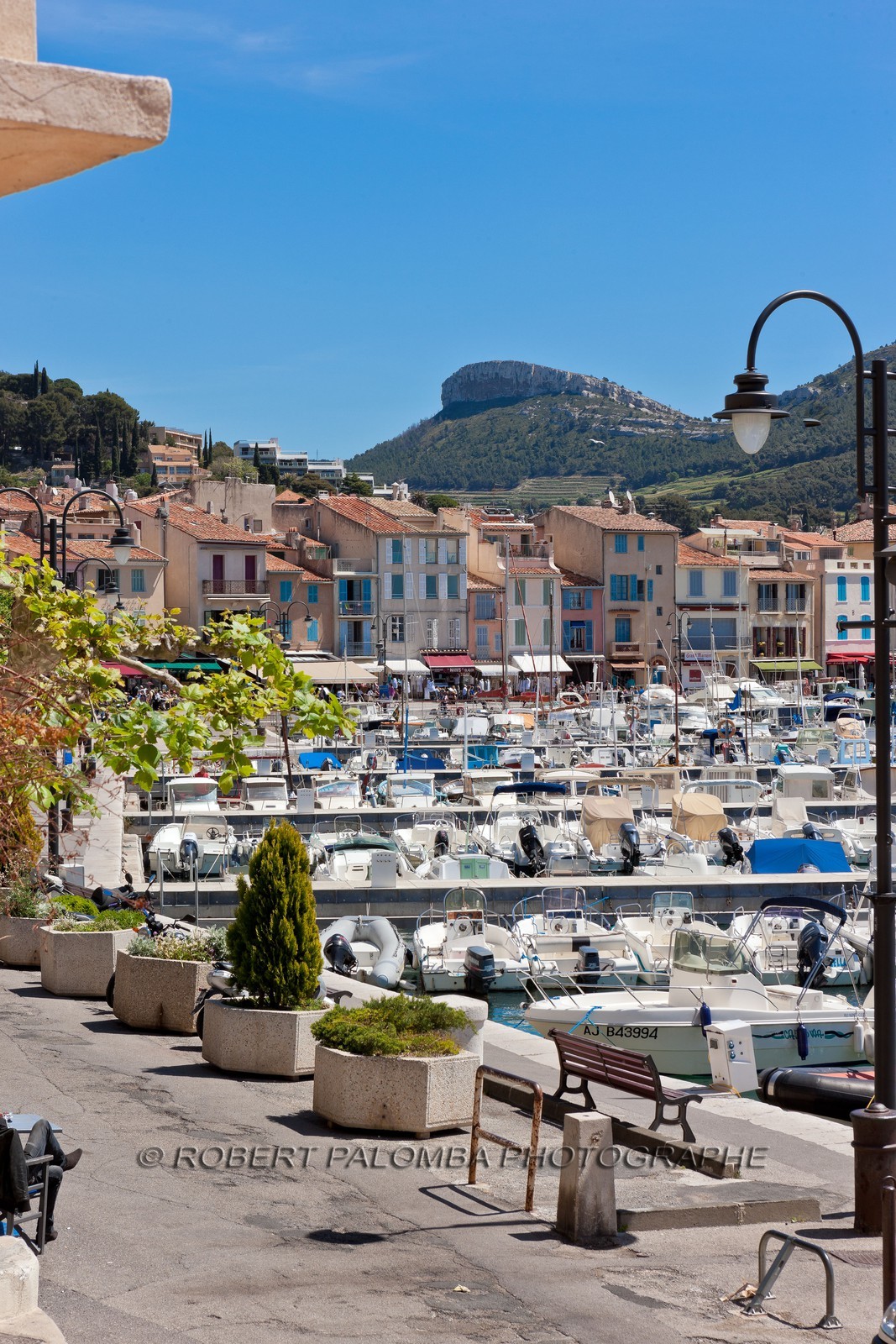 Cassis