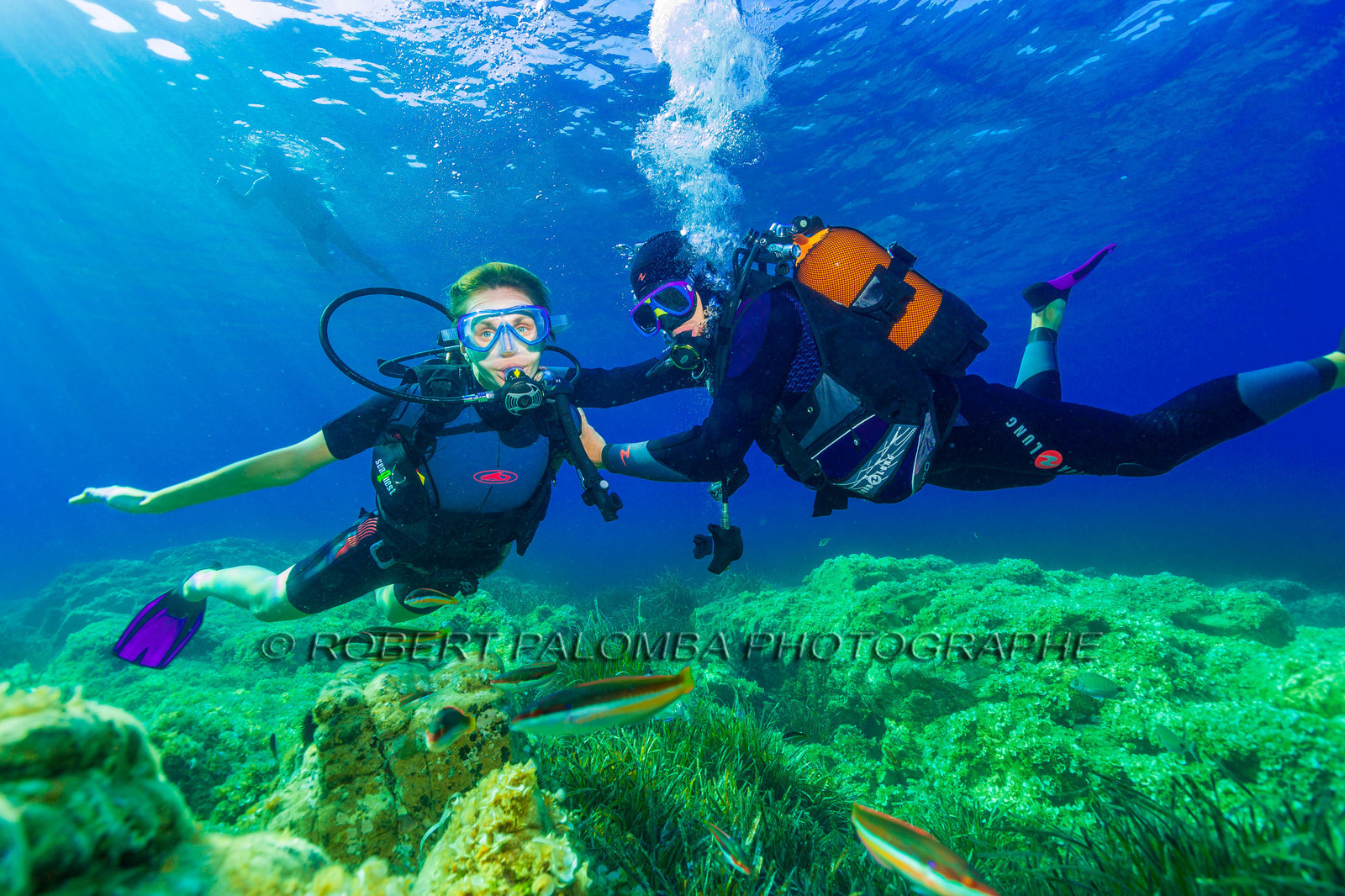 Plongée-sous-marine