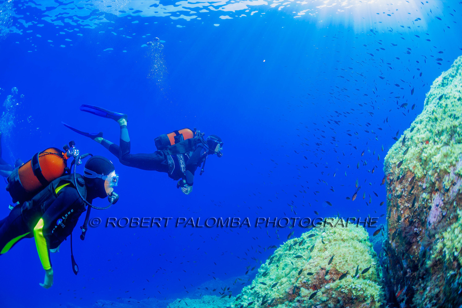 Plongée-sous-marine