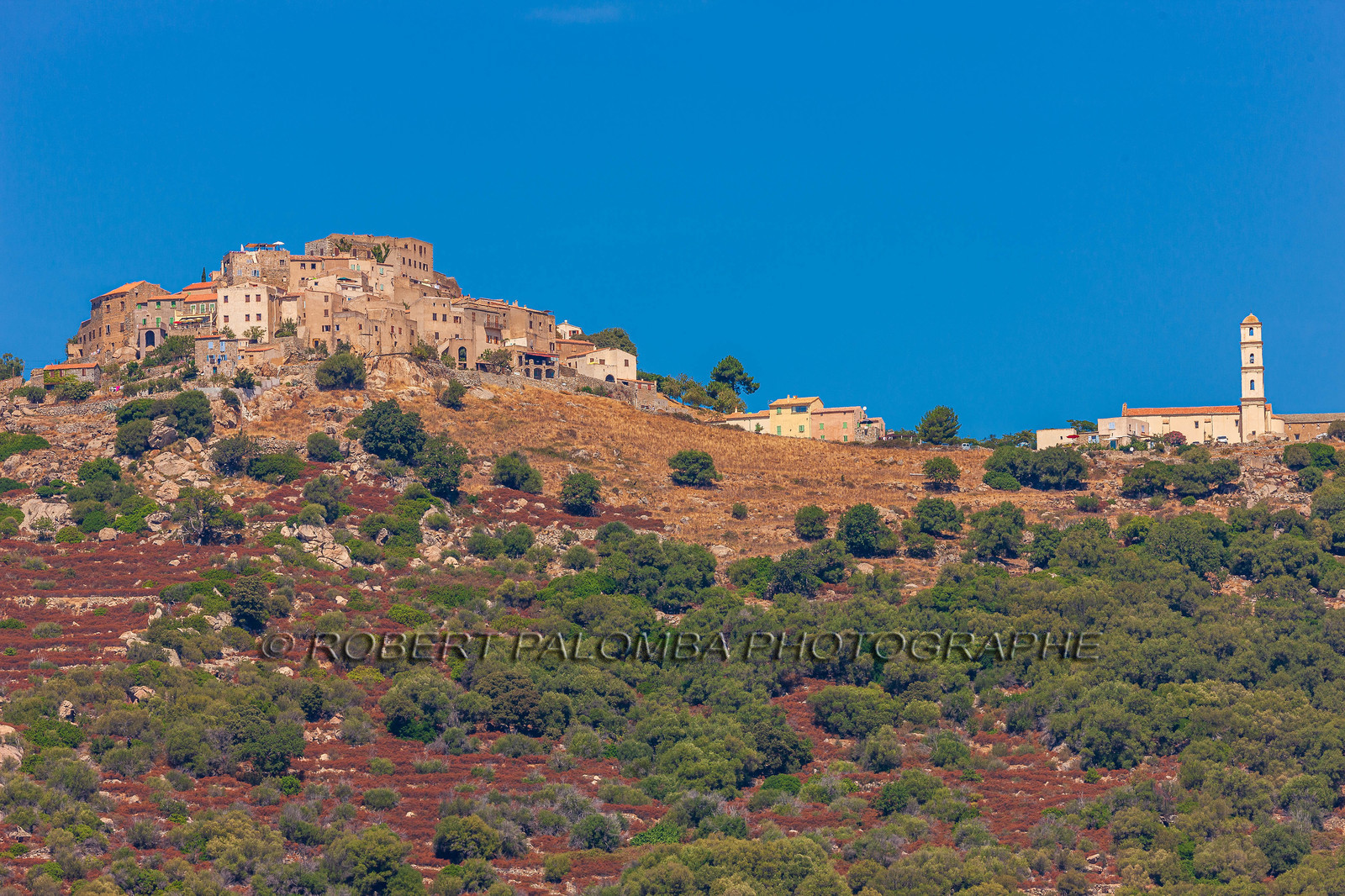 Sant' Antonino