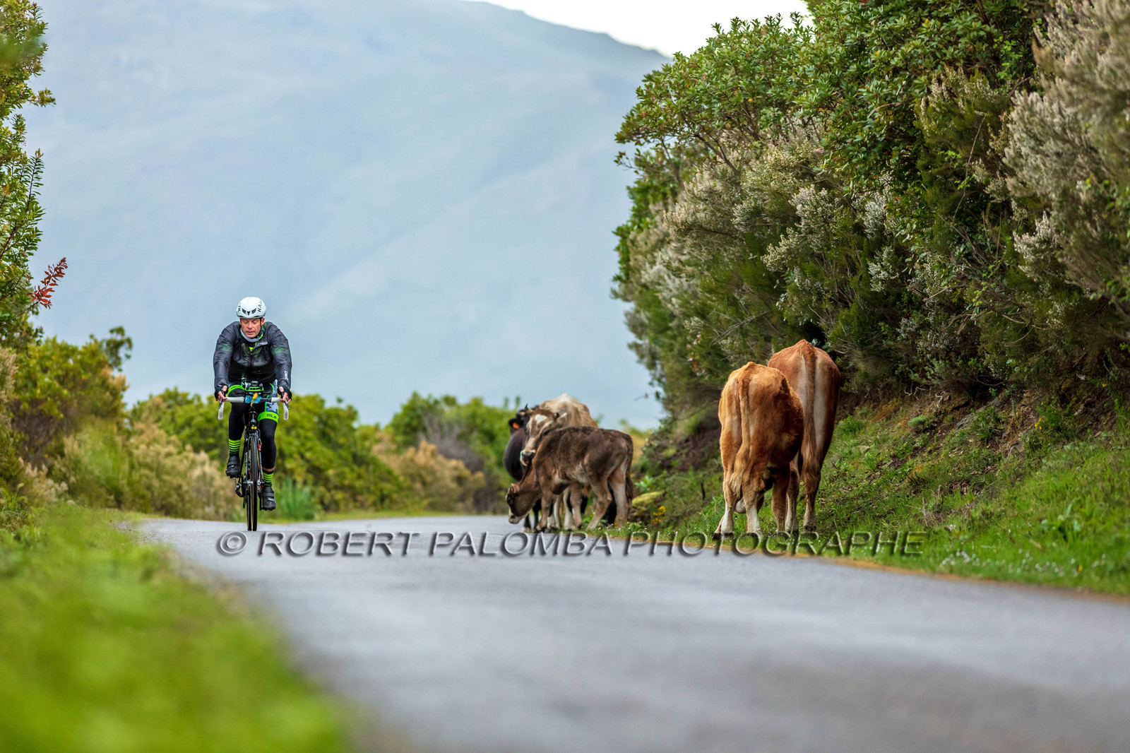 Col de Bigorno