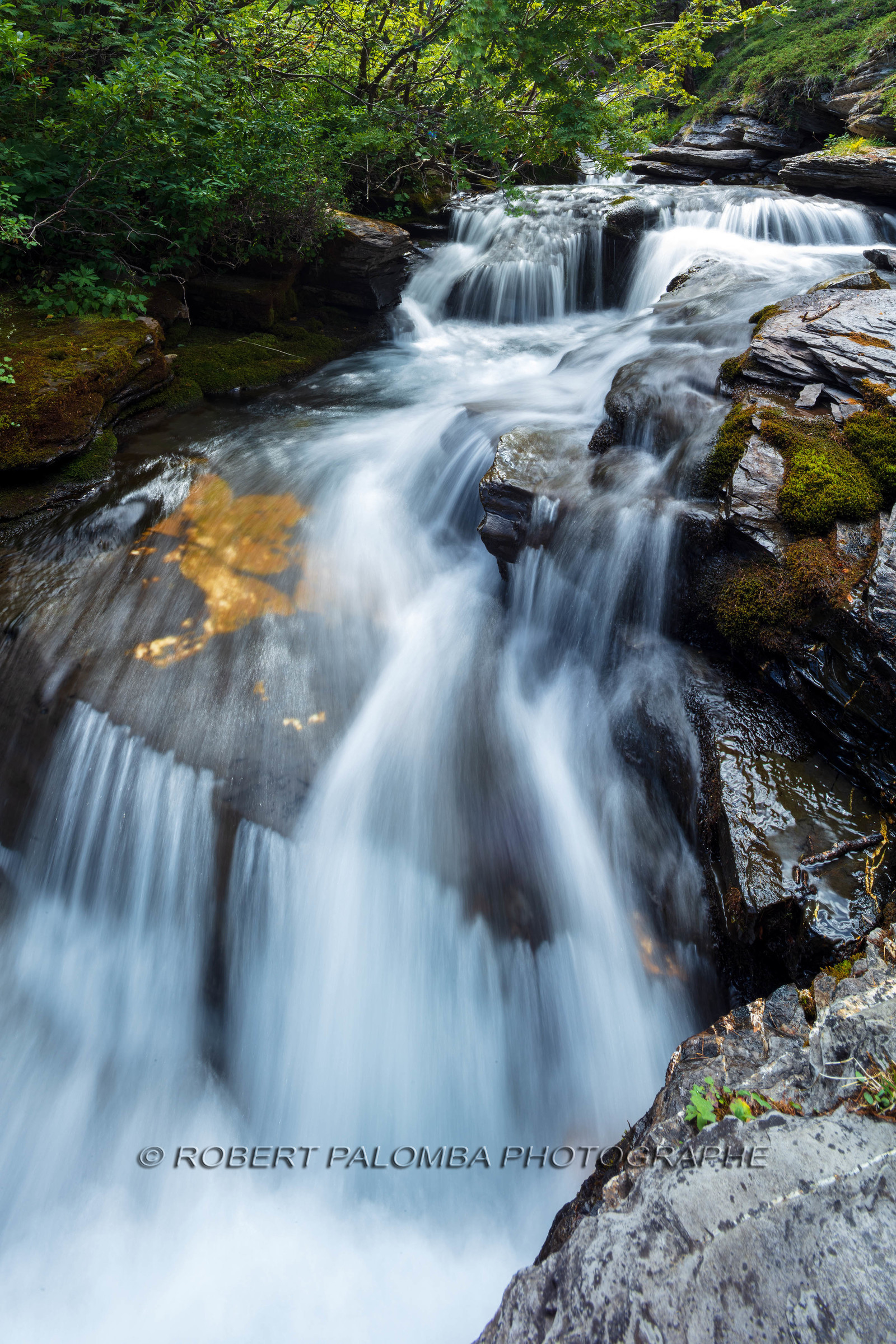 Torrent