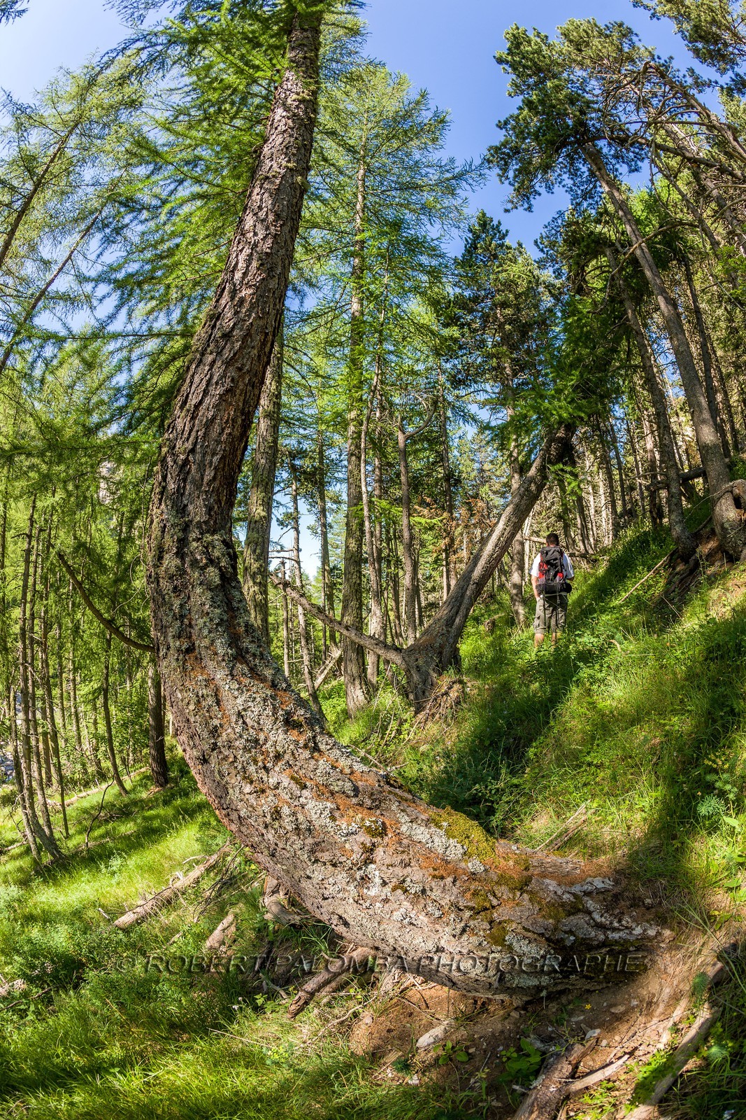 Cascade du Pich