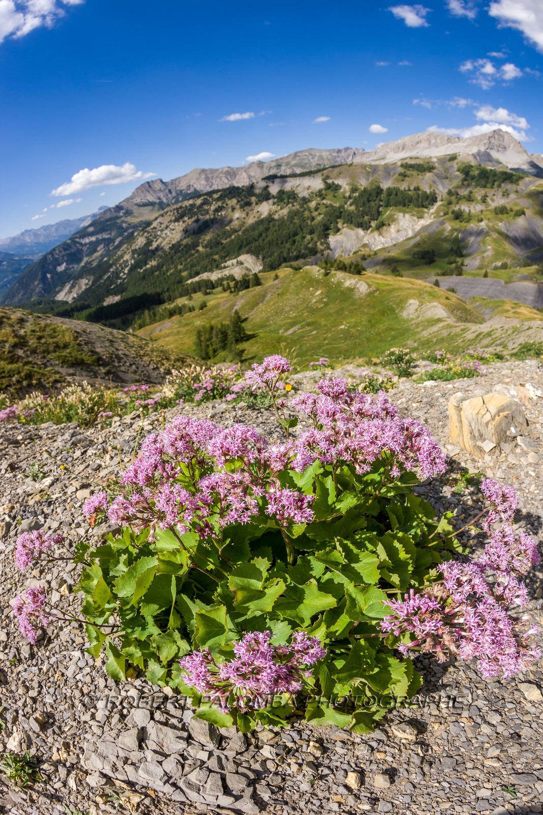 Col des Champs
