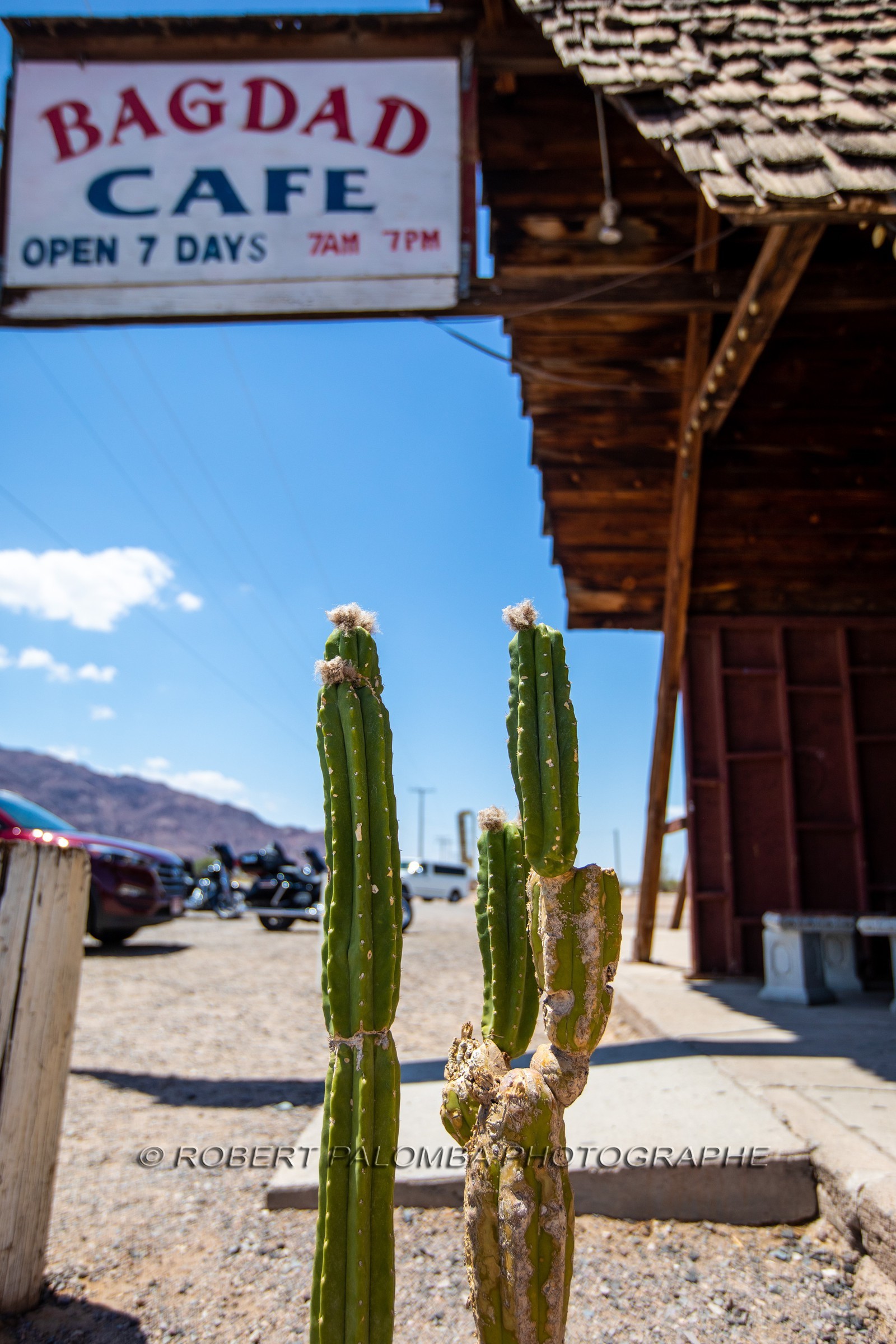 Bagdad Café
