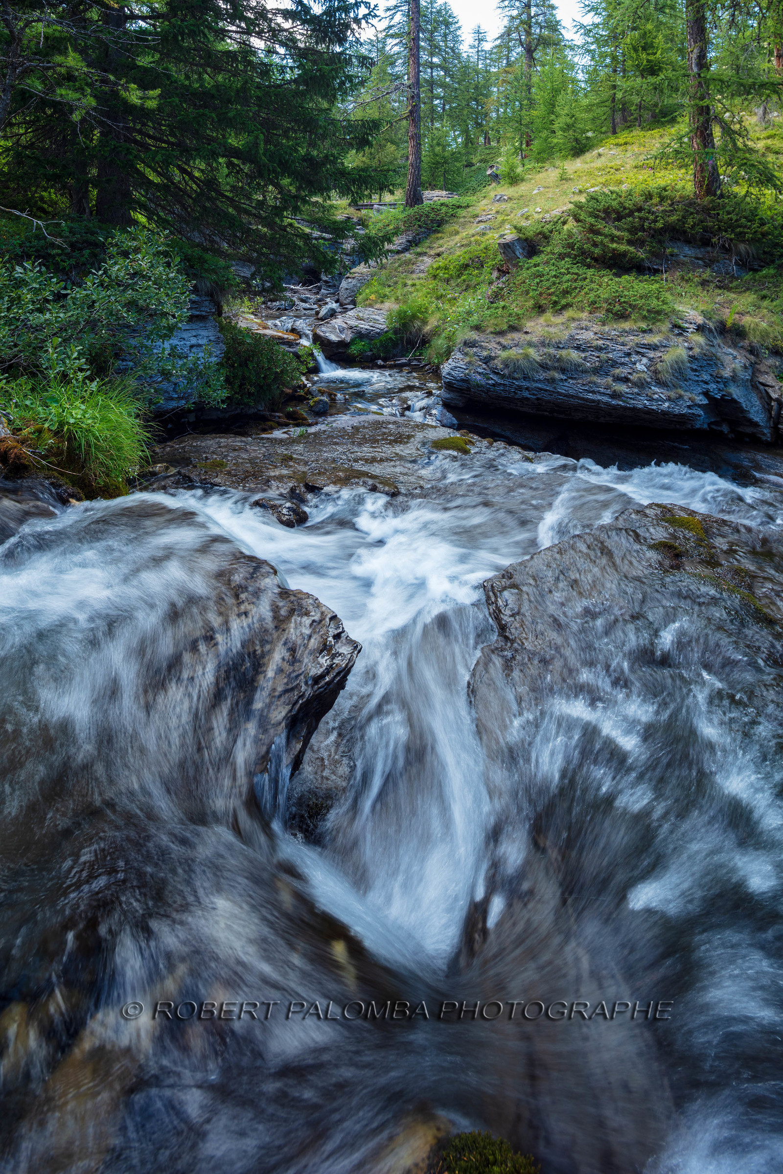 Torrent