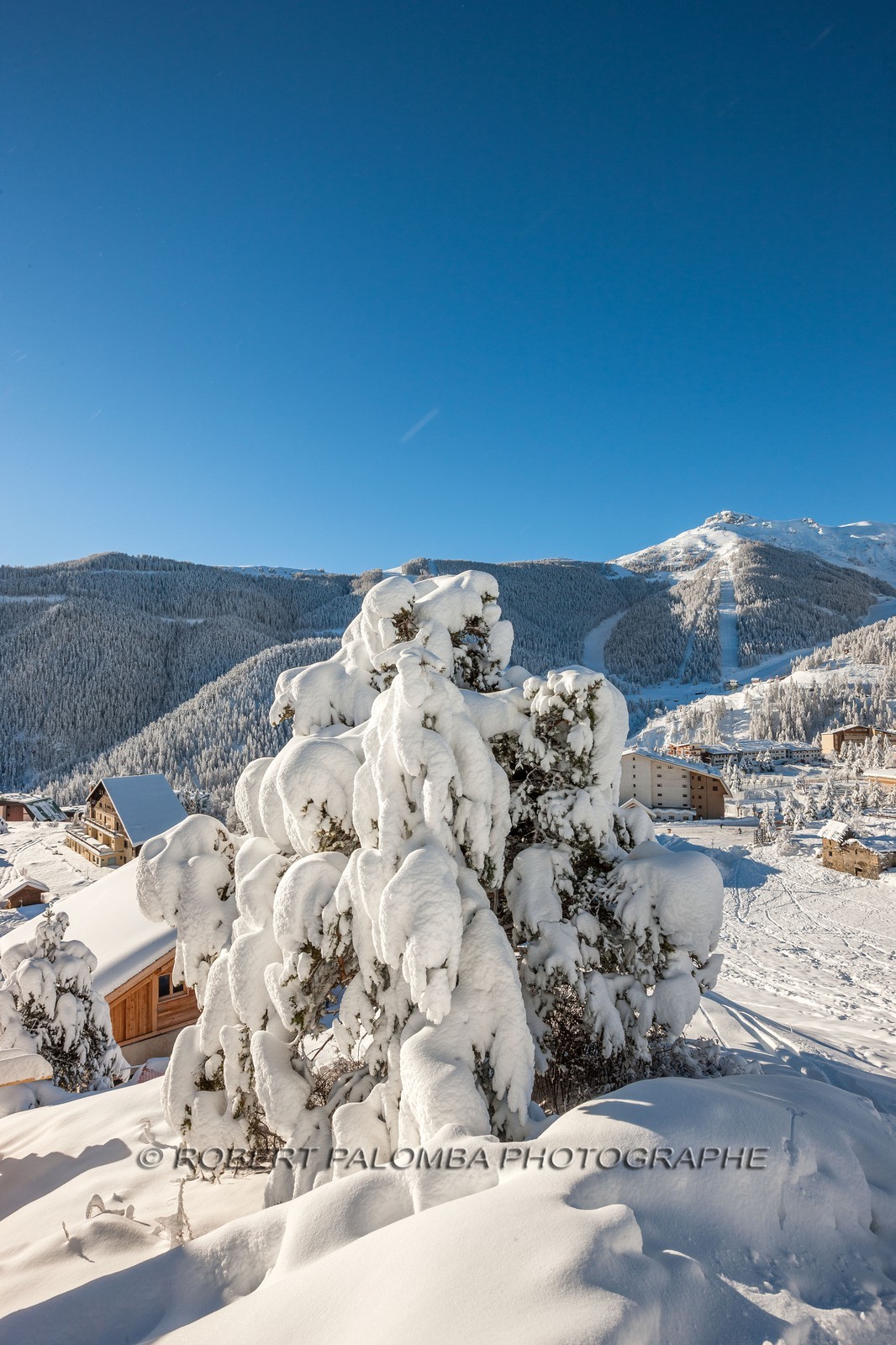 Auron