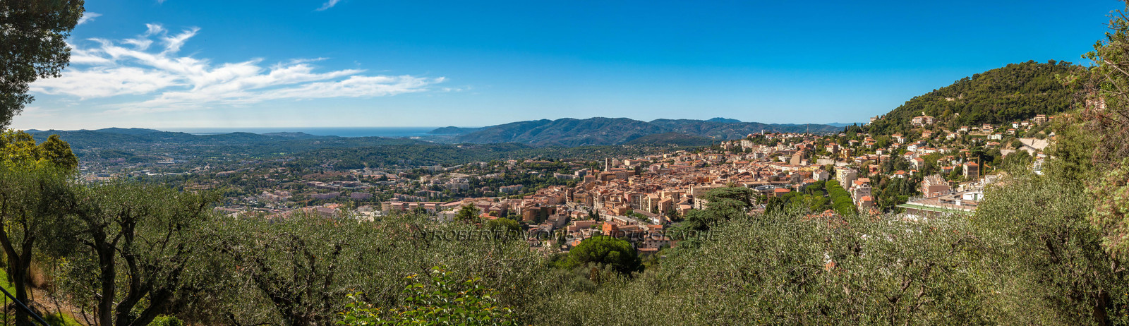 Grasse