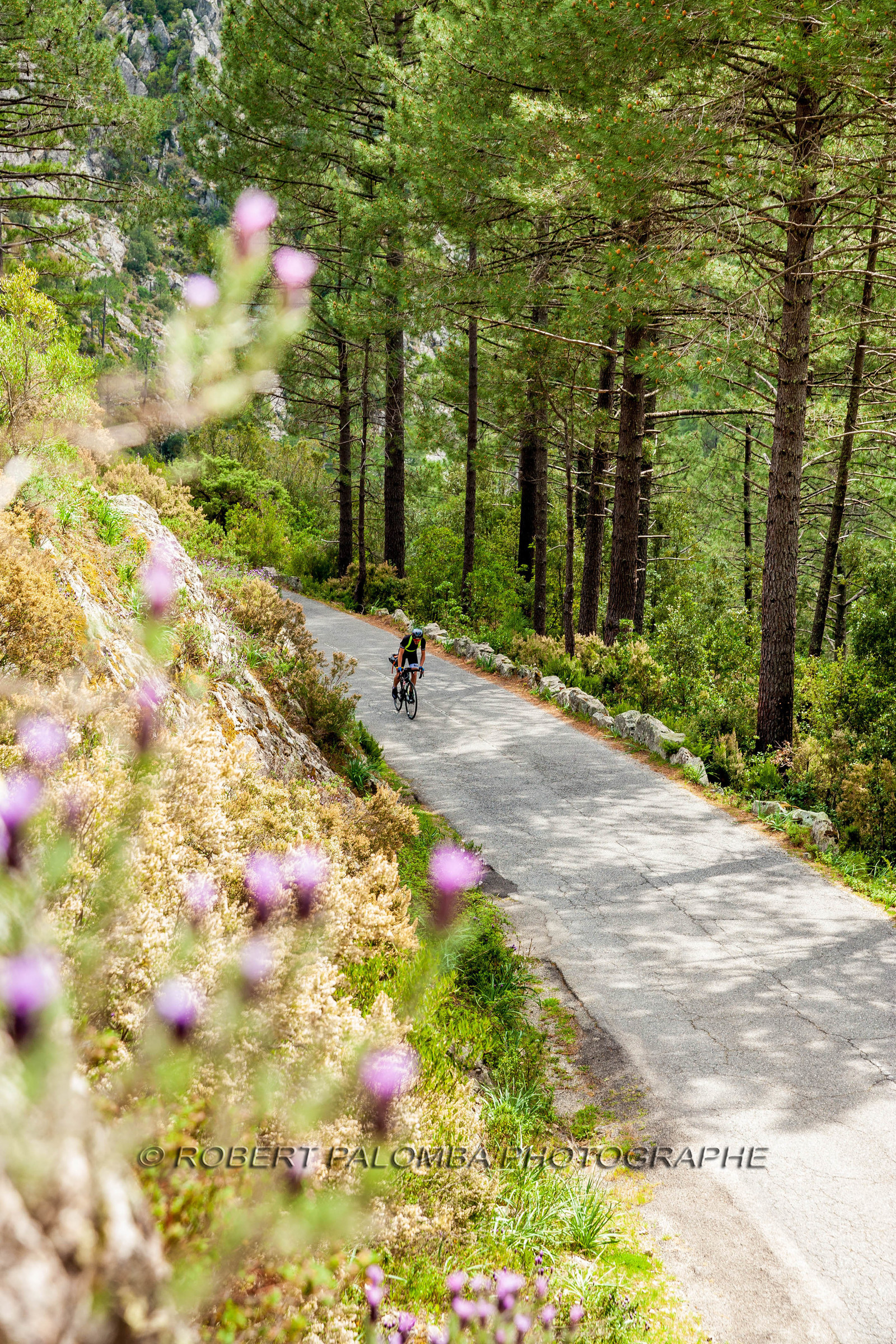 Bikingman Corsica 2019