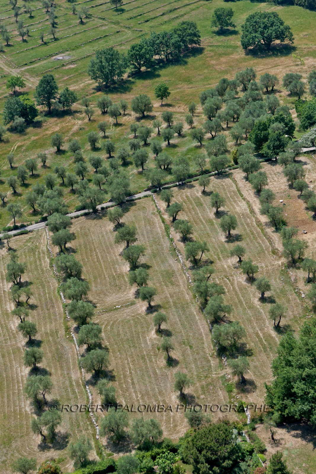 Sophia Antipolis