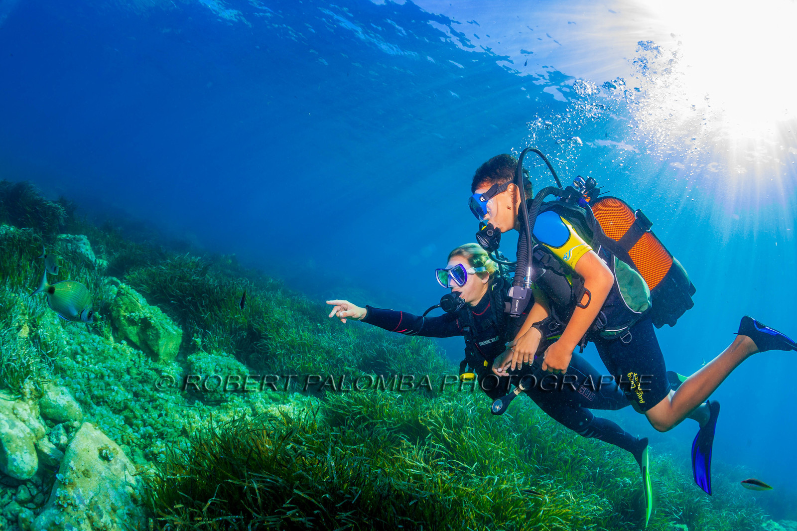 Plongée-sous-marine