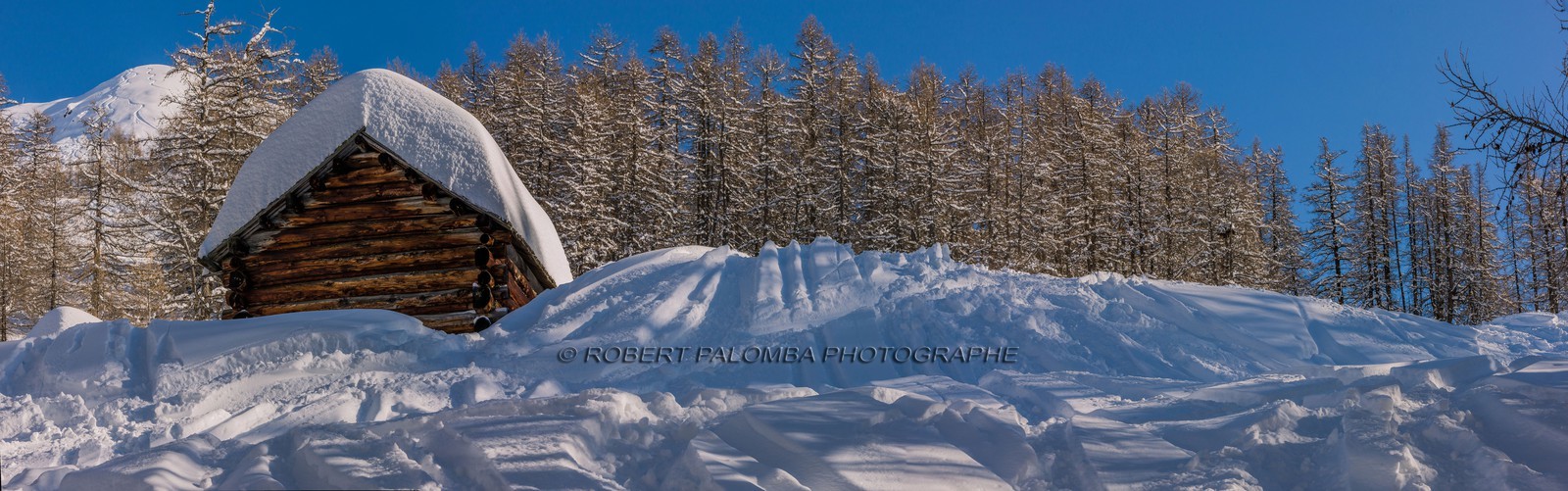 Auron