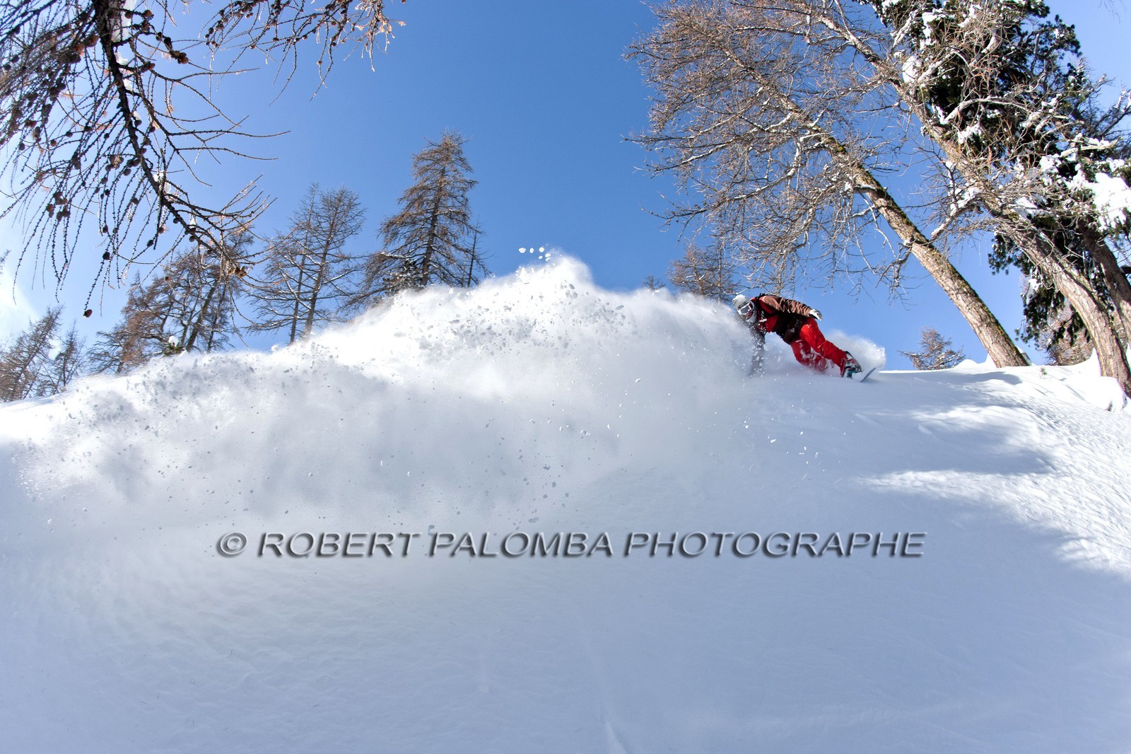 Snowboard