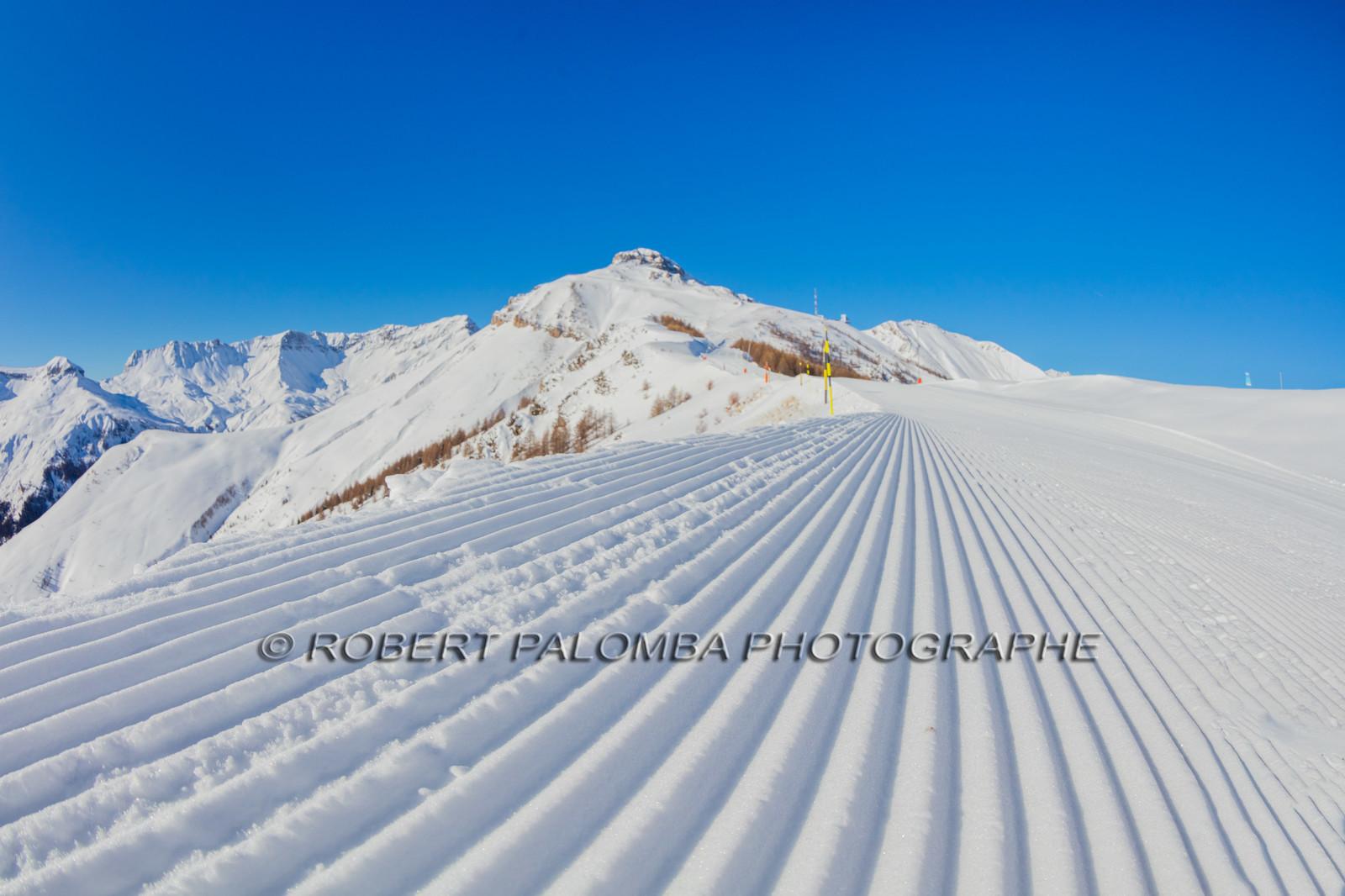 Auron