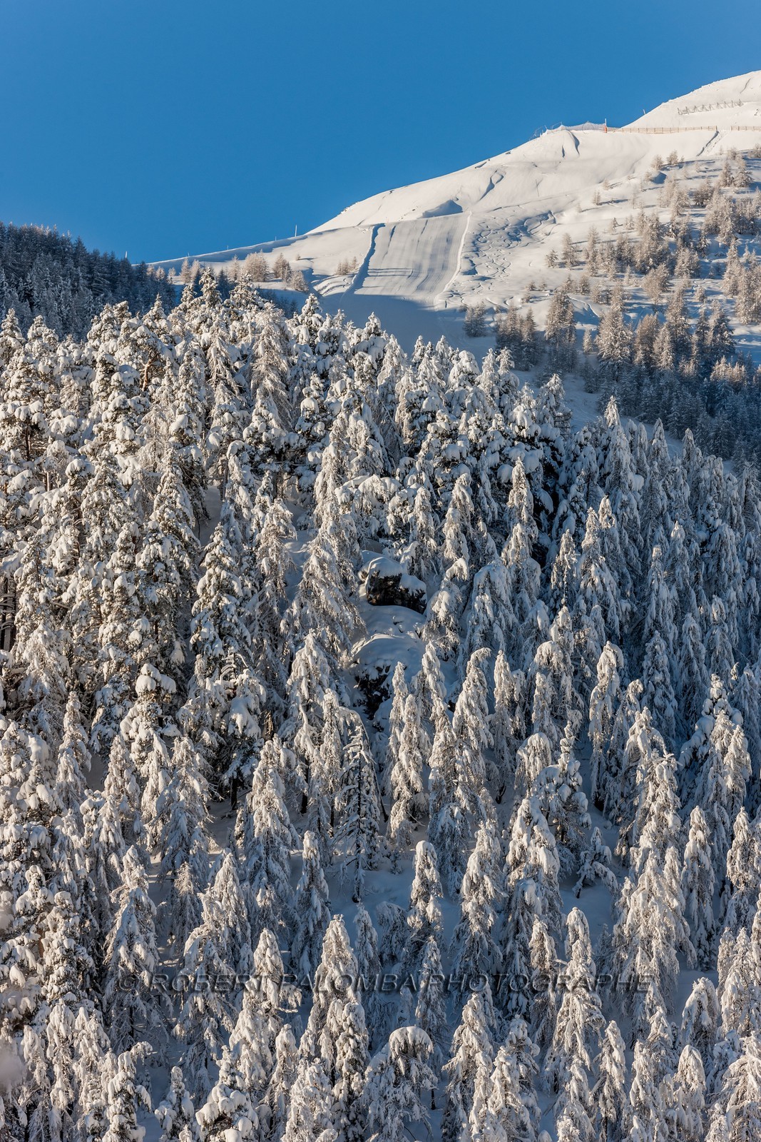 Auron