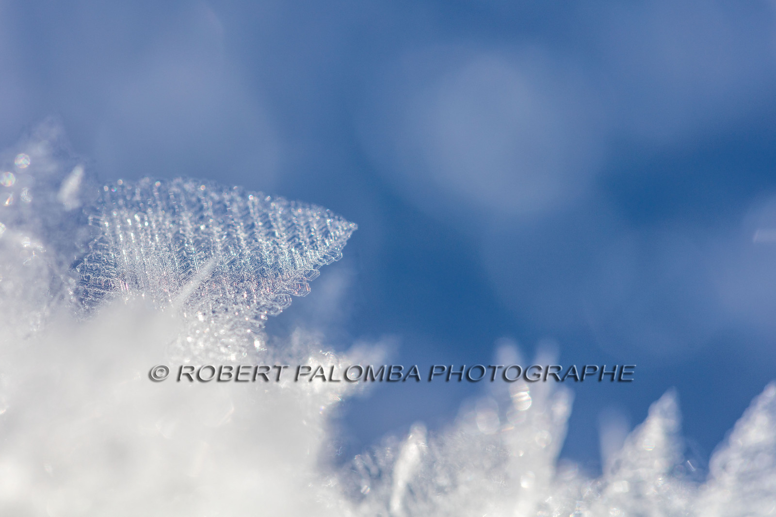 Cristaux de neige