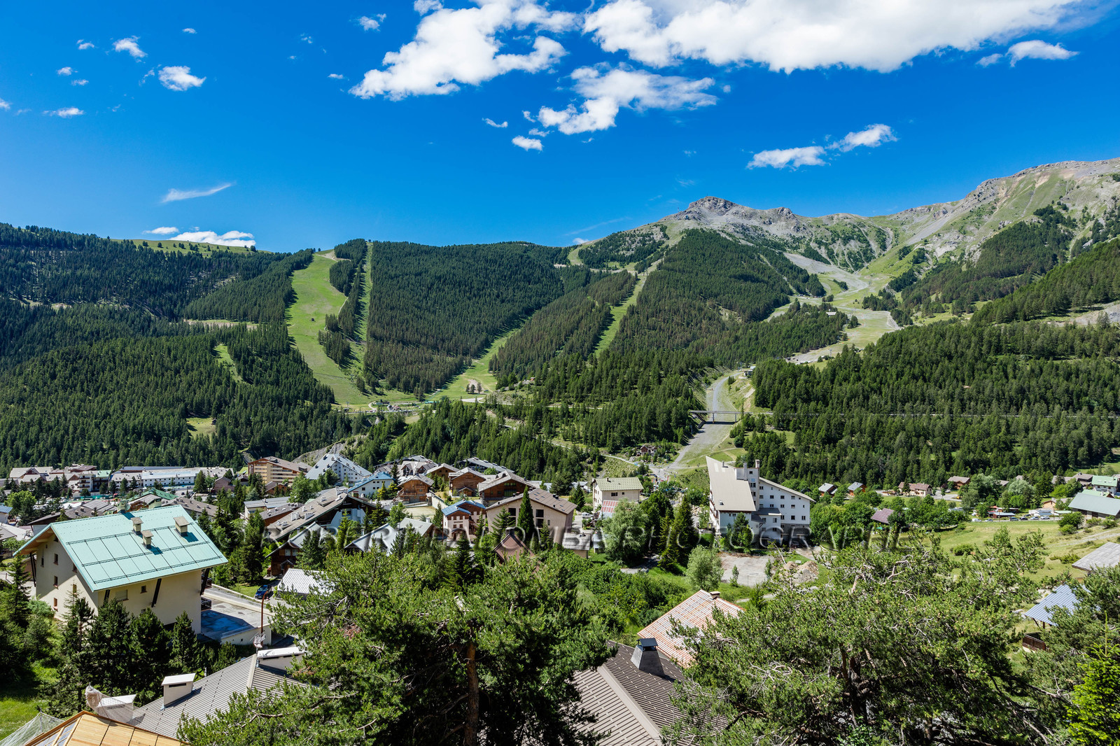 Auron