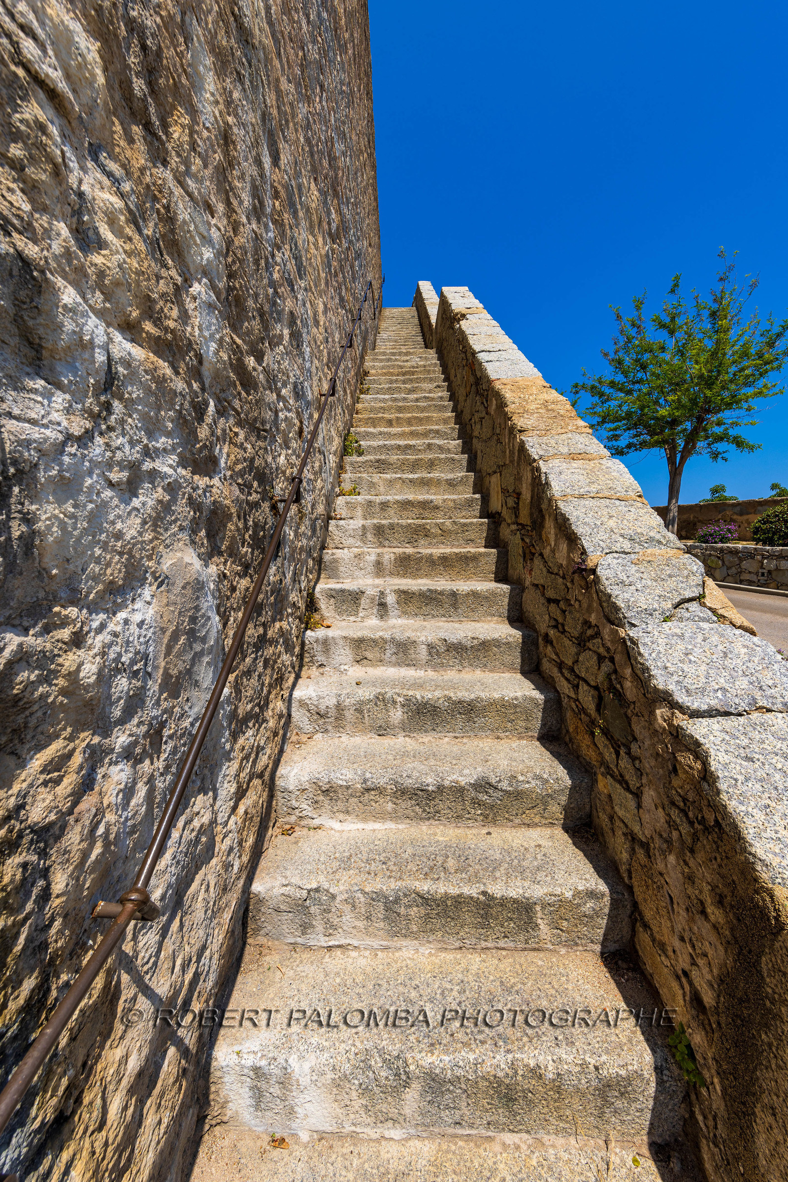 Calvi
