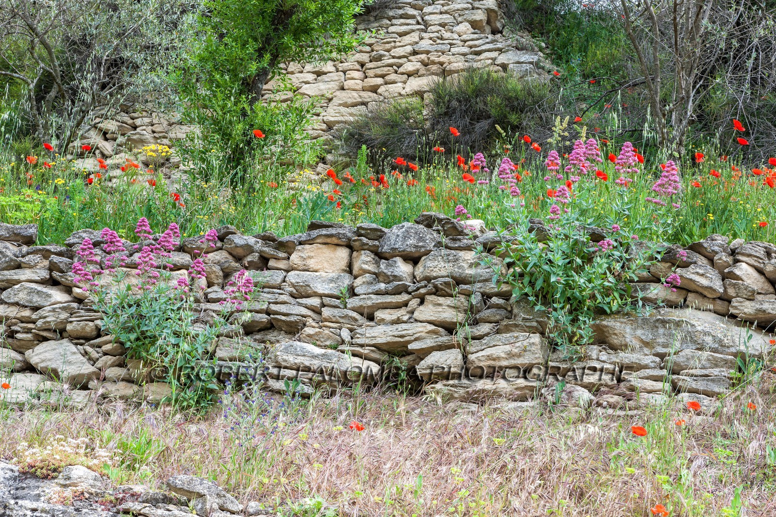 Gordes