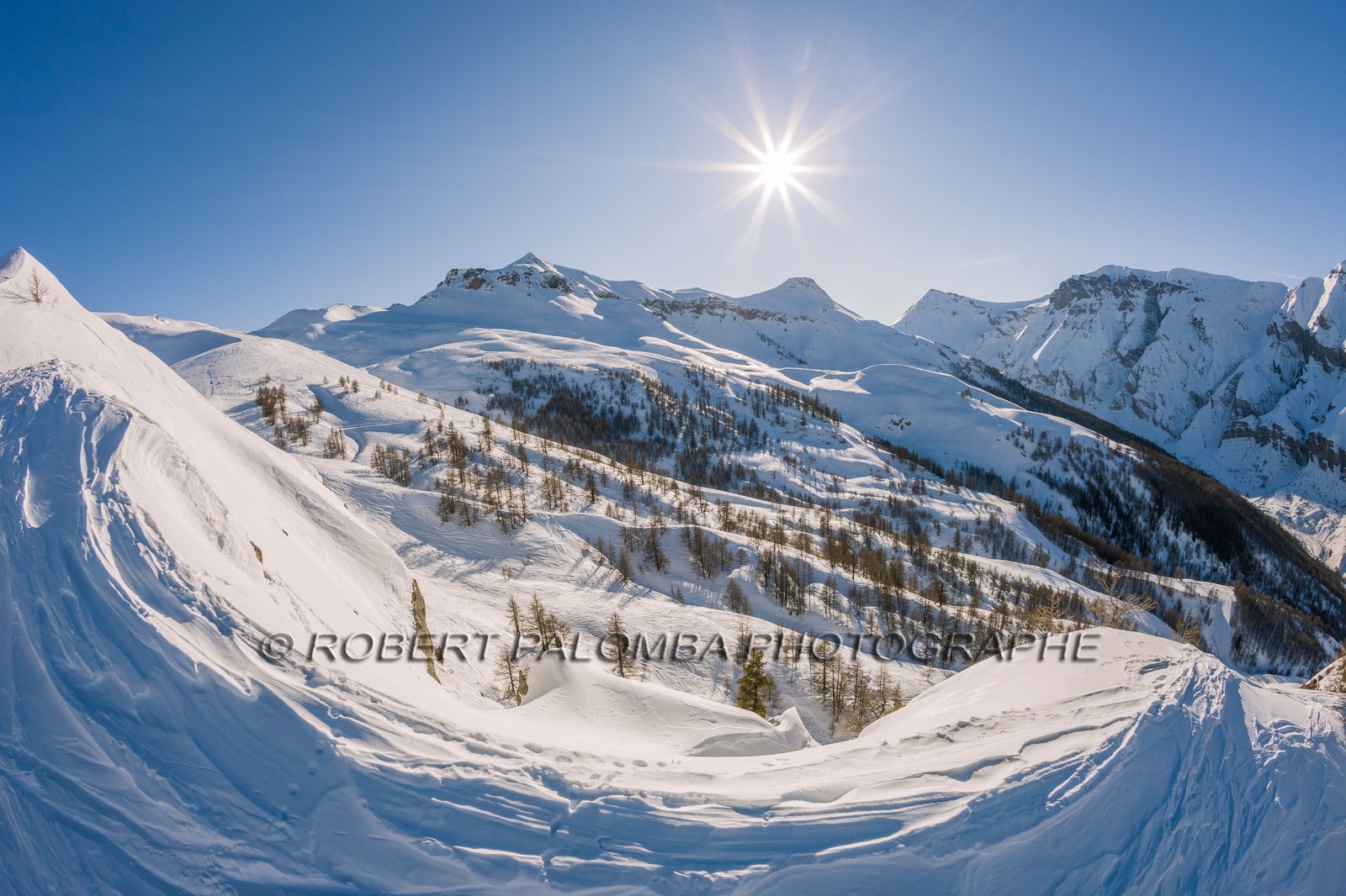 Auron