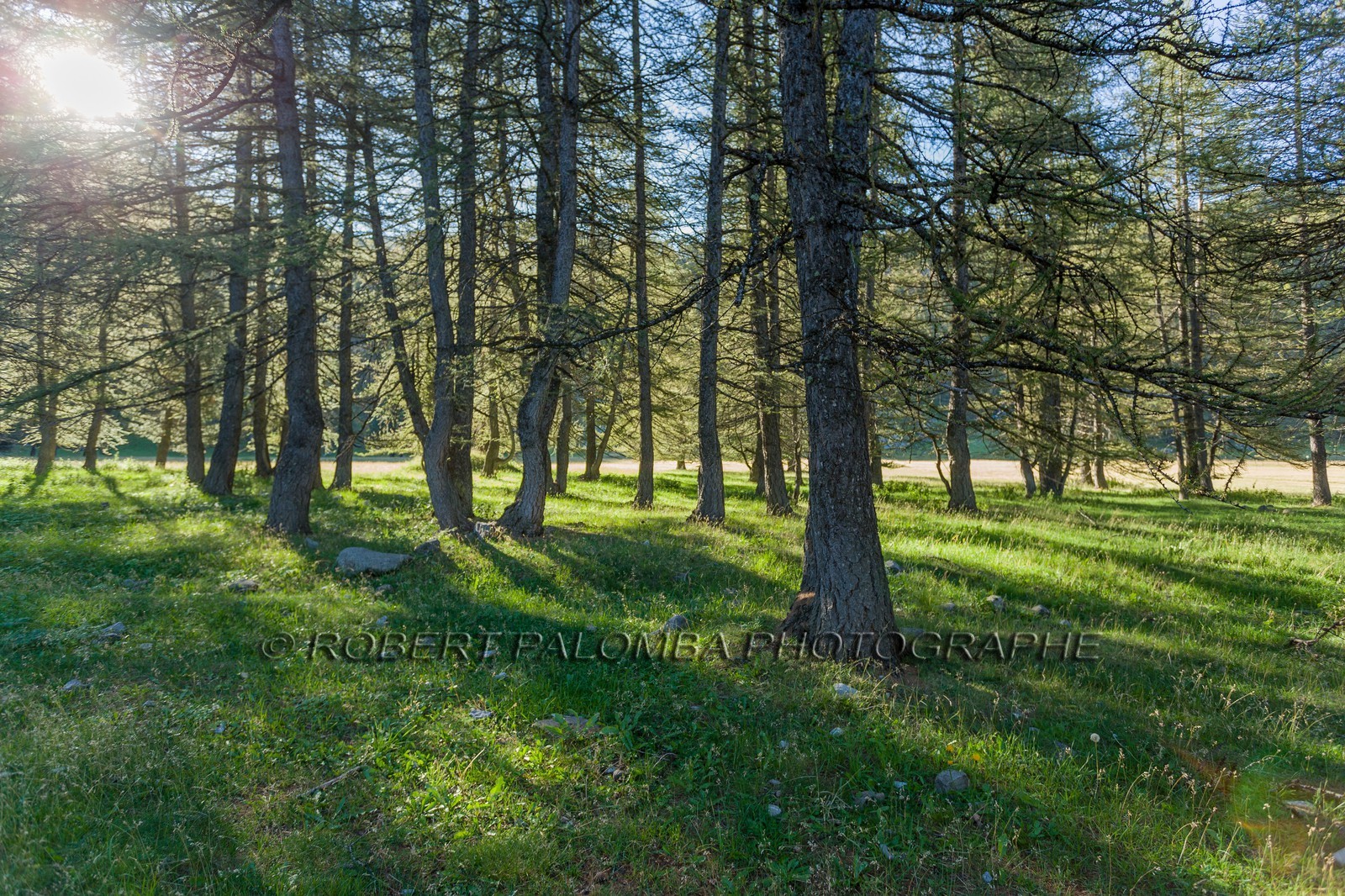 Col de la Petite Cayolle Col de la Petite Cayolle
