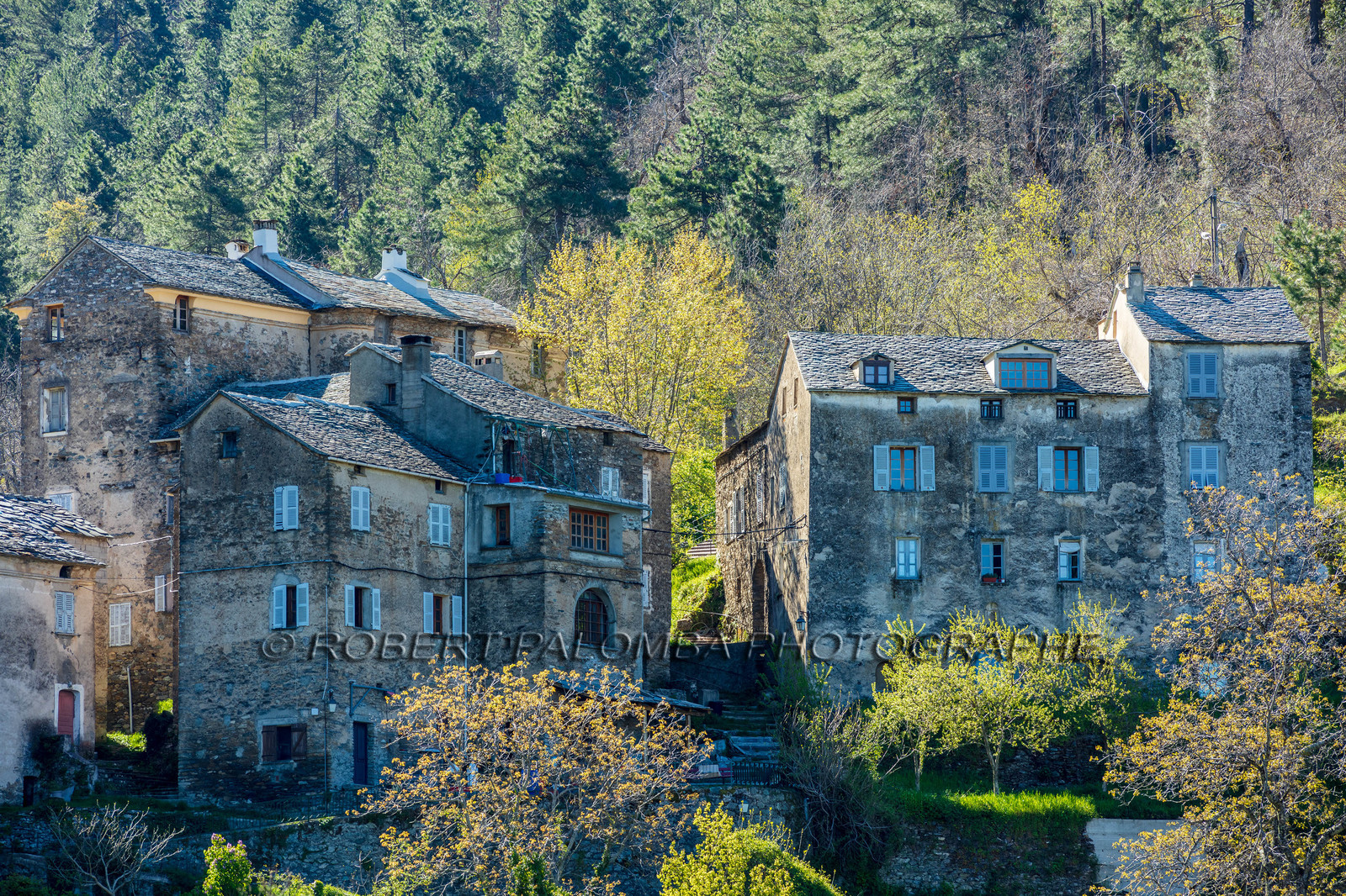Saliceto