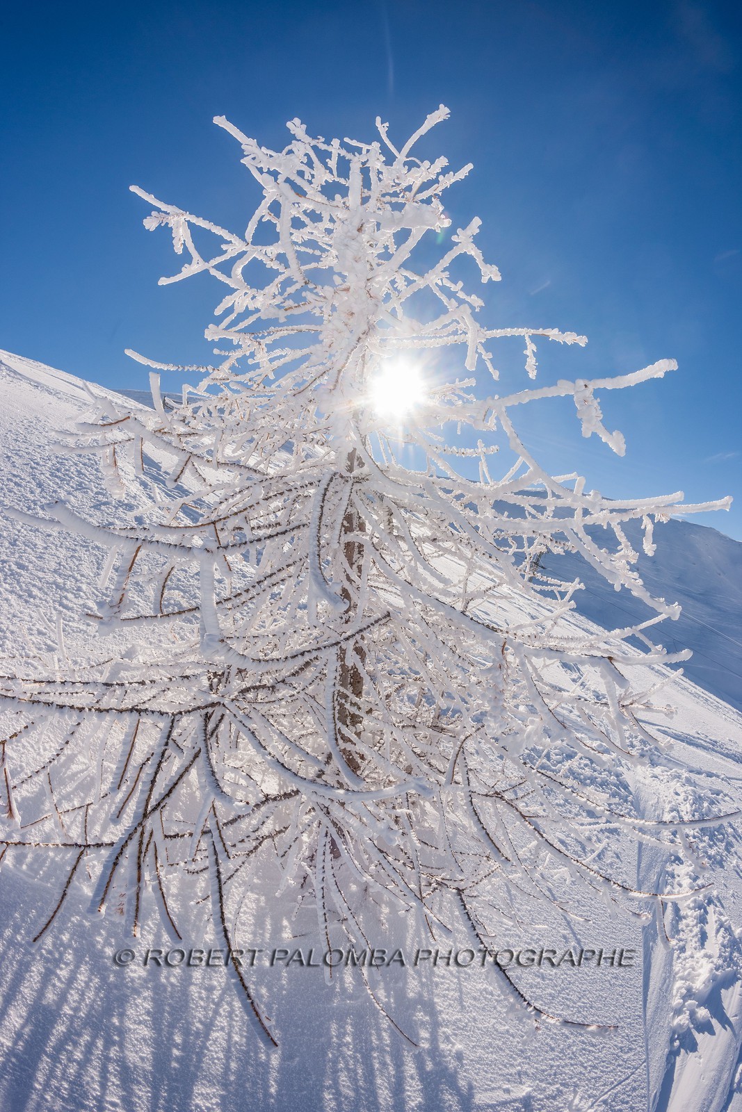 La Foux d'Allos
