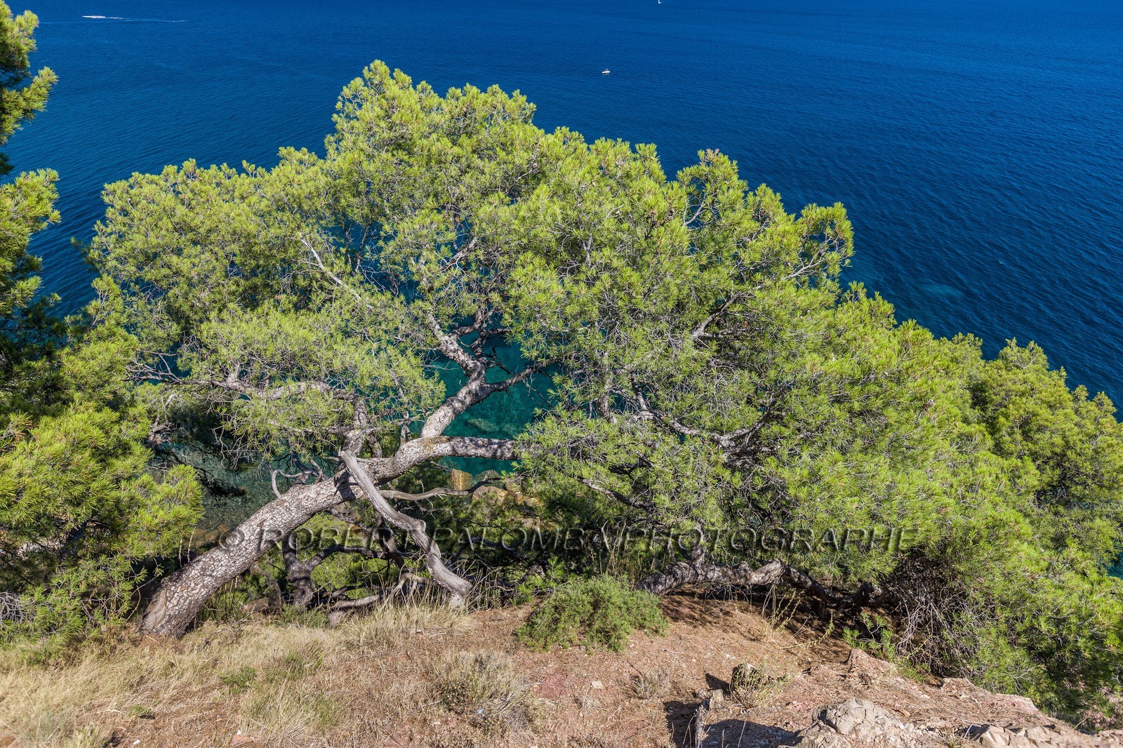 La Seyne-sur-Mer