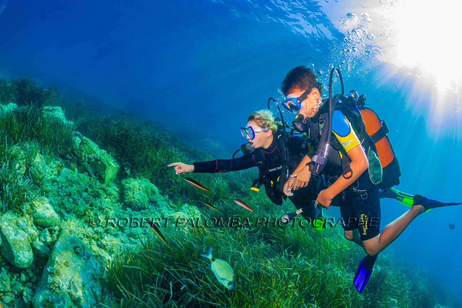 Plongée-sous-marine